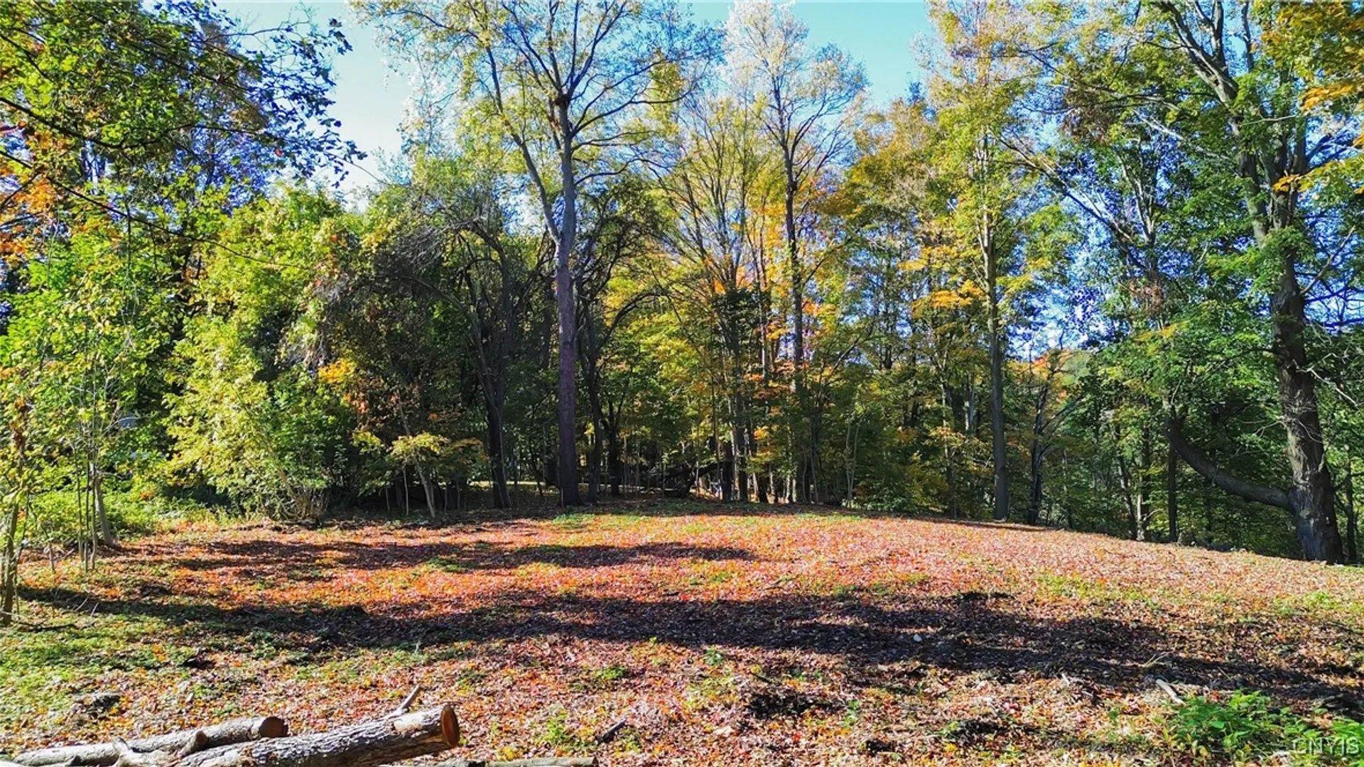 Property at Harrison Avenue, Frankfort, NY 13357 5