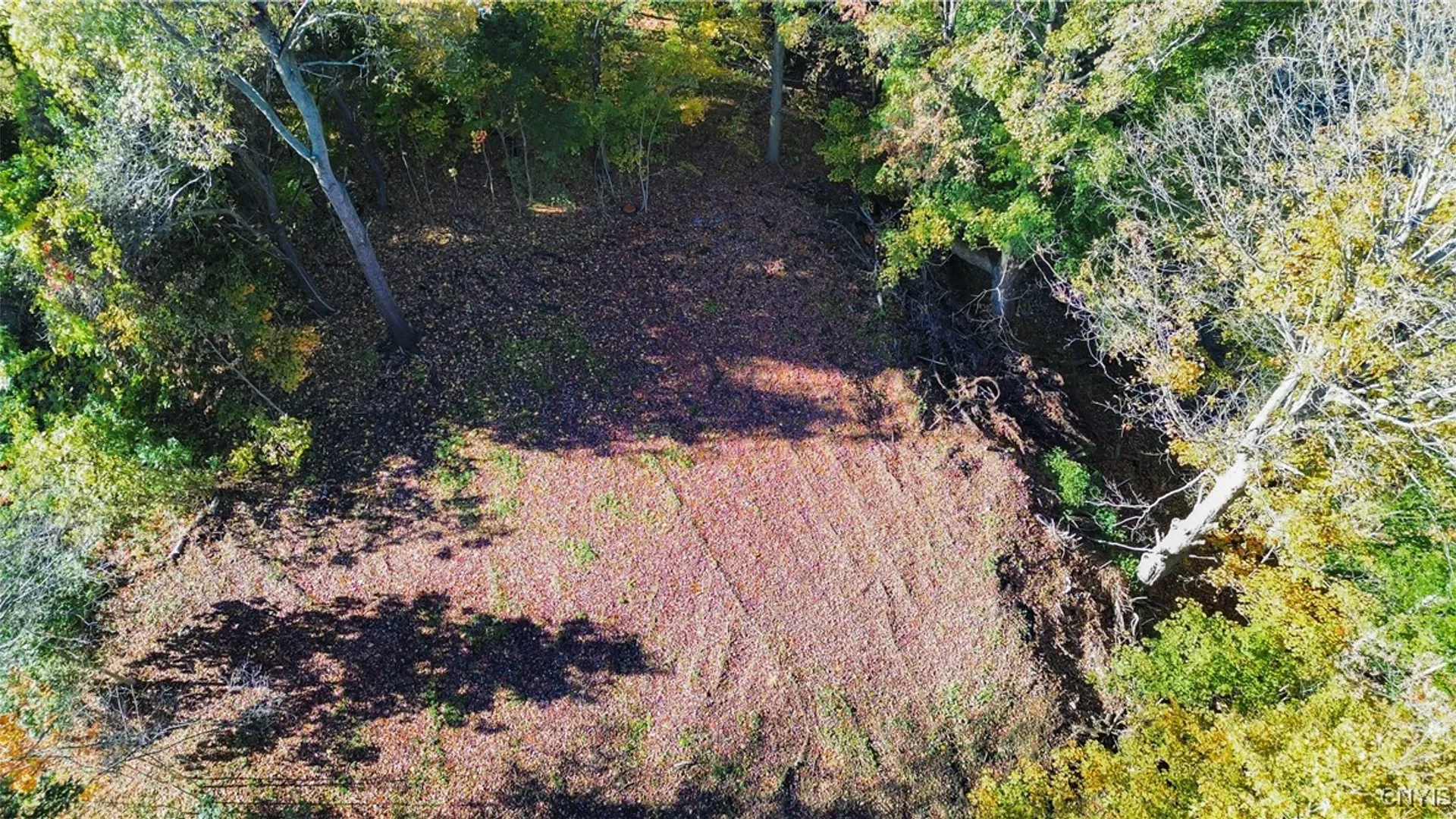 Property at Harrison Avenue, Frankfort, NY 13357 6