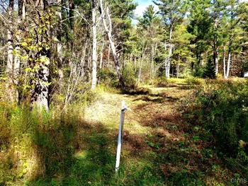 Property at 0 Midline Road, Dryden, NY 13068