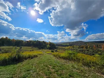 Property at Bailey Hill Road, Almond, NY 14807