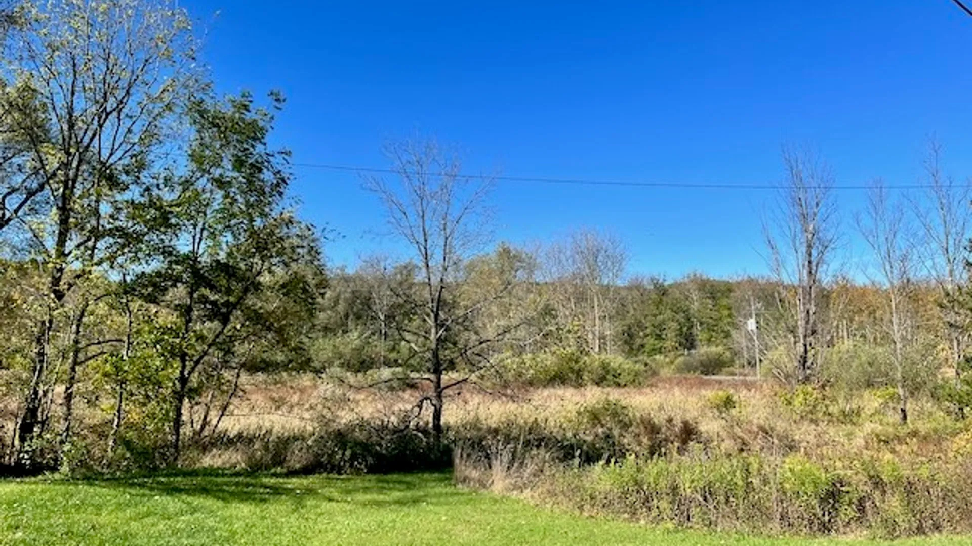 Property at 1468 Danby Road, Newfield, NY 14867 25