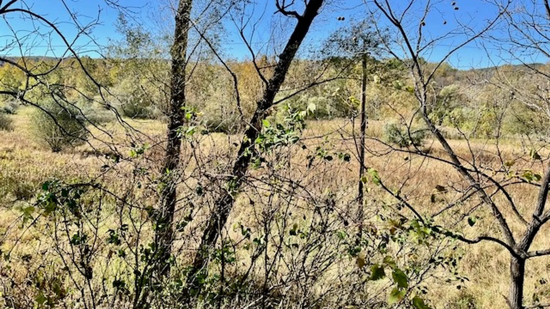 Property at 1468 Danby Road, Newfield, NY 14867 7