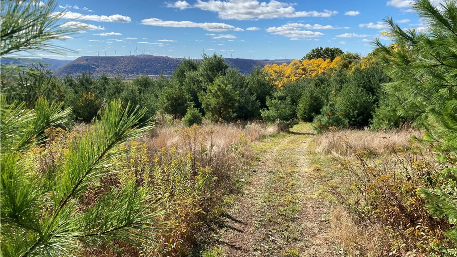 Property at 00 Saunders Hill Road, Naples, NY 14512 23