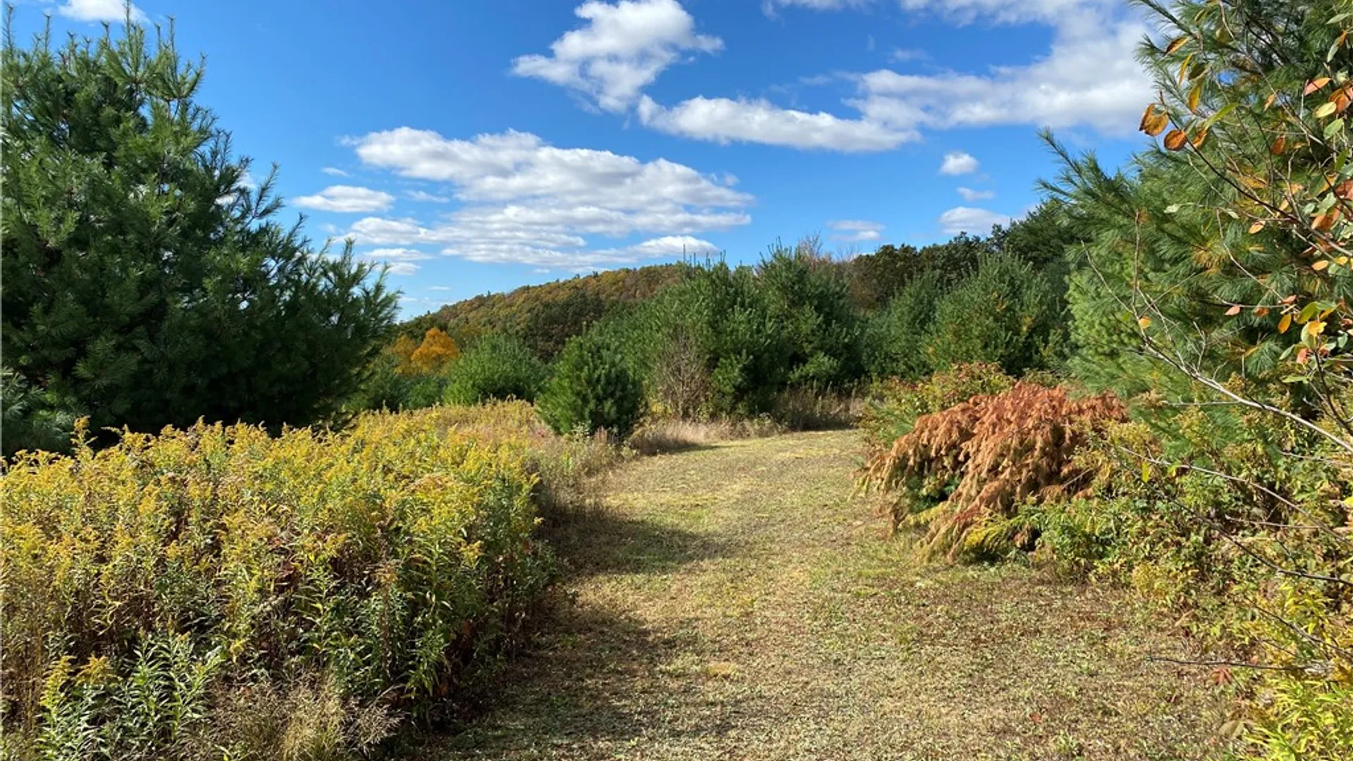 Property at 00 Saunders Hill Road, Naples, NY 14512 24