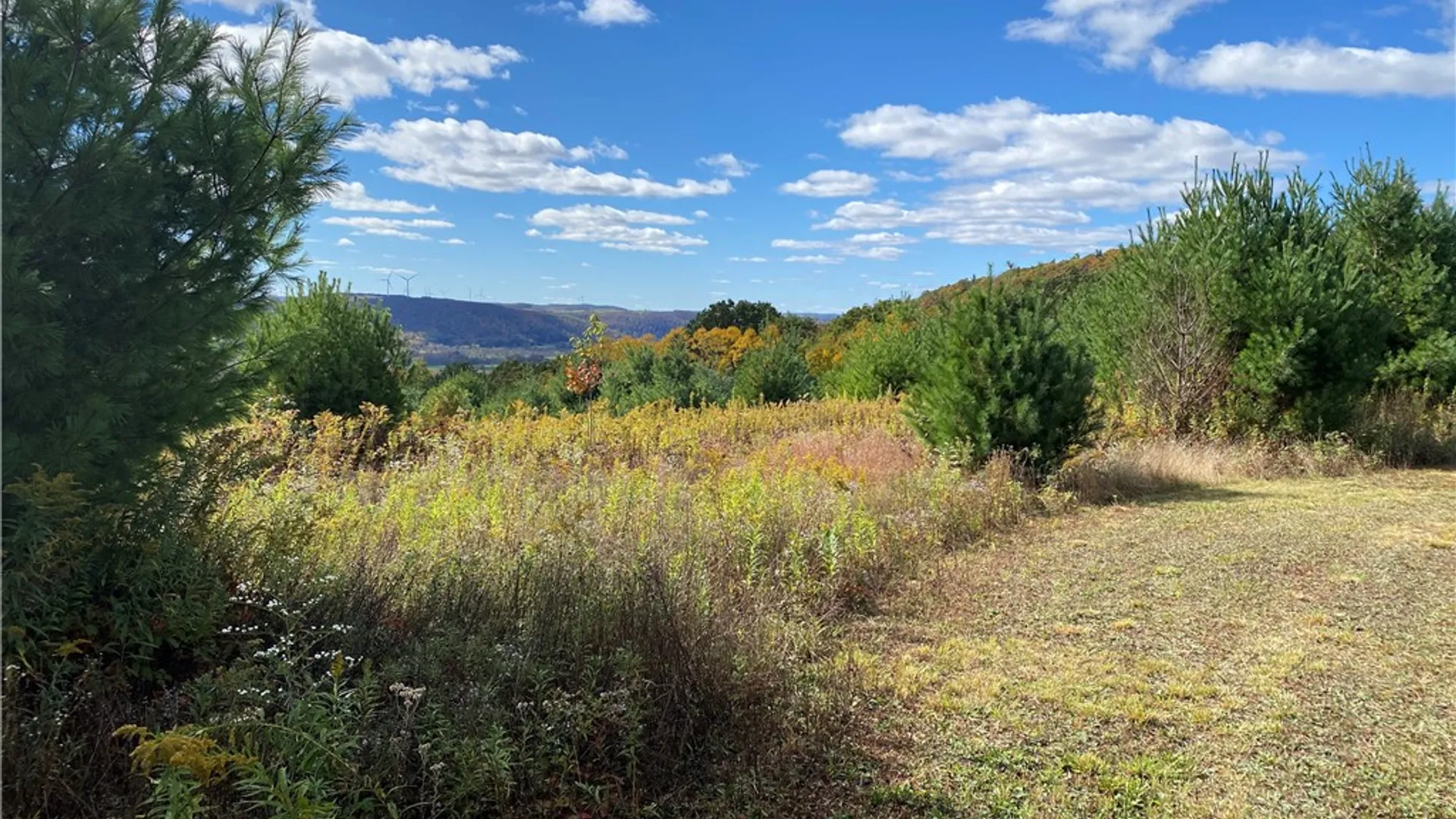 Property at 00 Saunders Hill Road, Naples, NY 14512 8