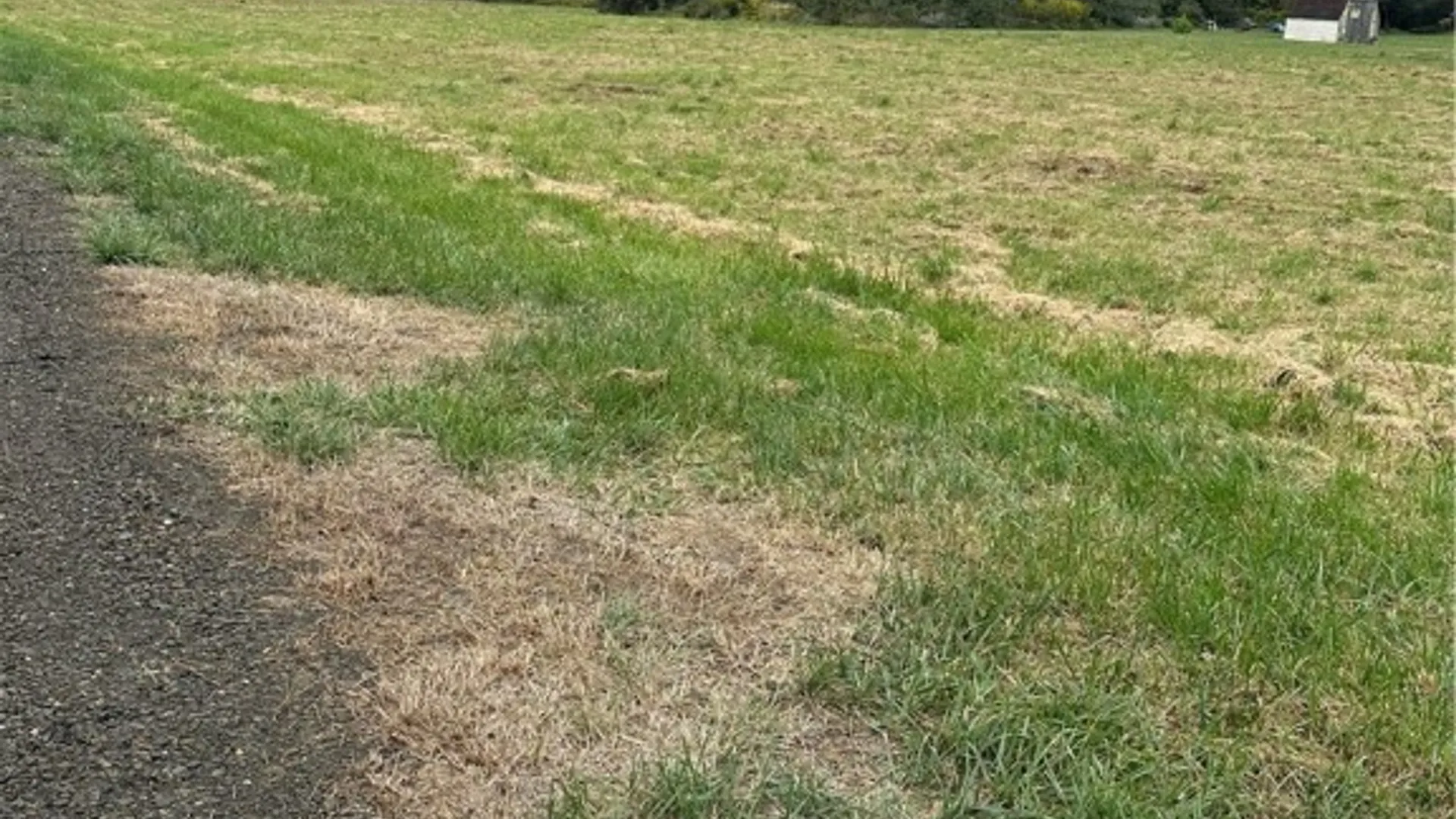 Property at 0 Hornbrook Road, Danby, NY 14850 2