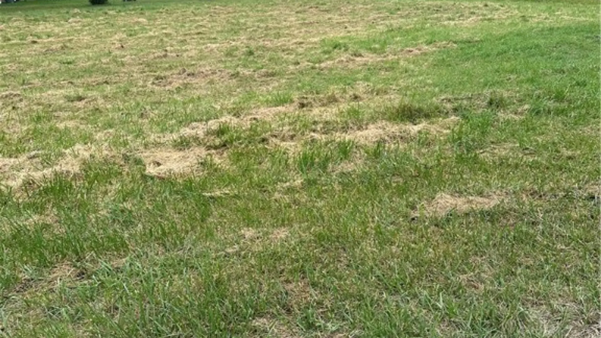 Property at 0 Hornbrook Road, Danby, NY 14850 3