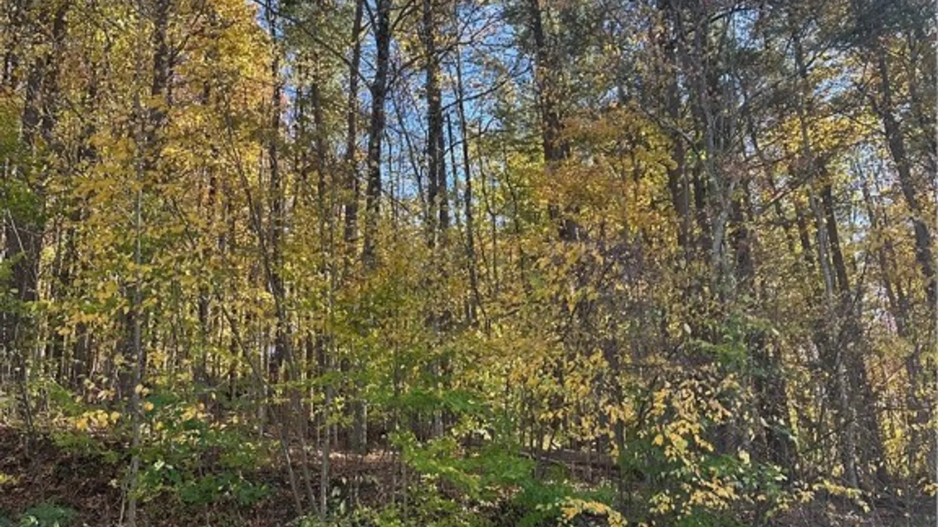 Property at 129 Hornbrook Road, Danby, NY 14850 2