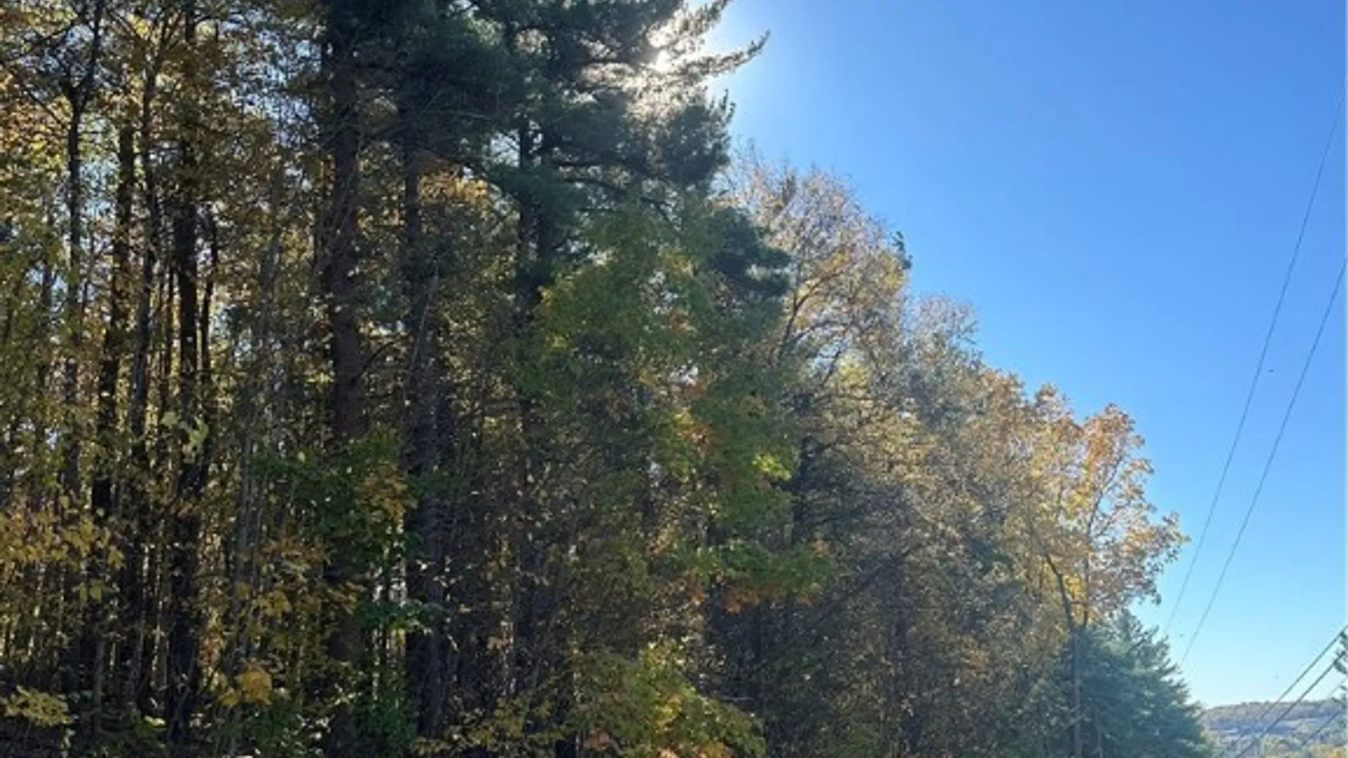 Property at 129 Hornbrook Road, Danby, NY 14850 3