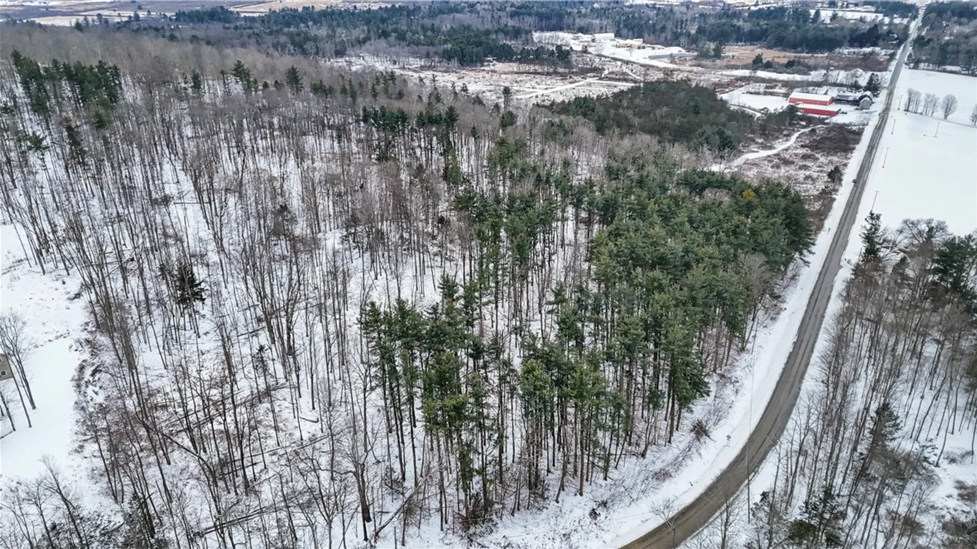 Property at 129 Hornbrook Road, Danby, NY 14850 4