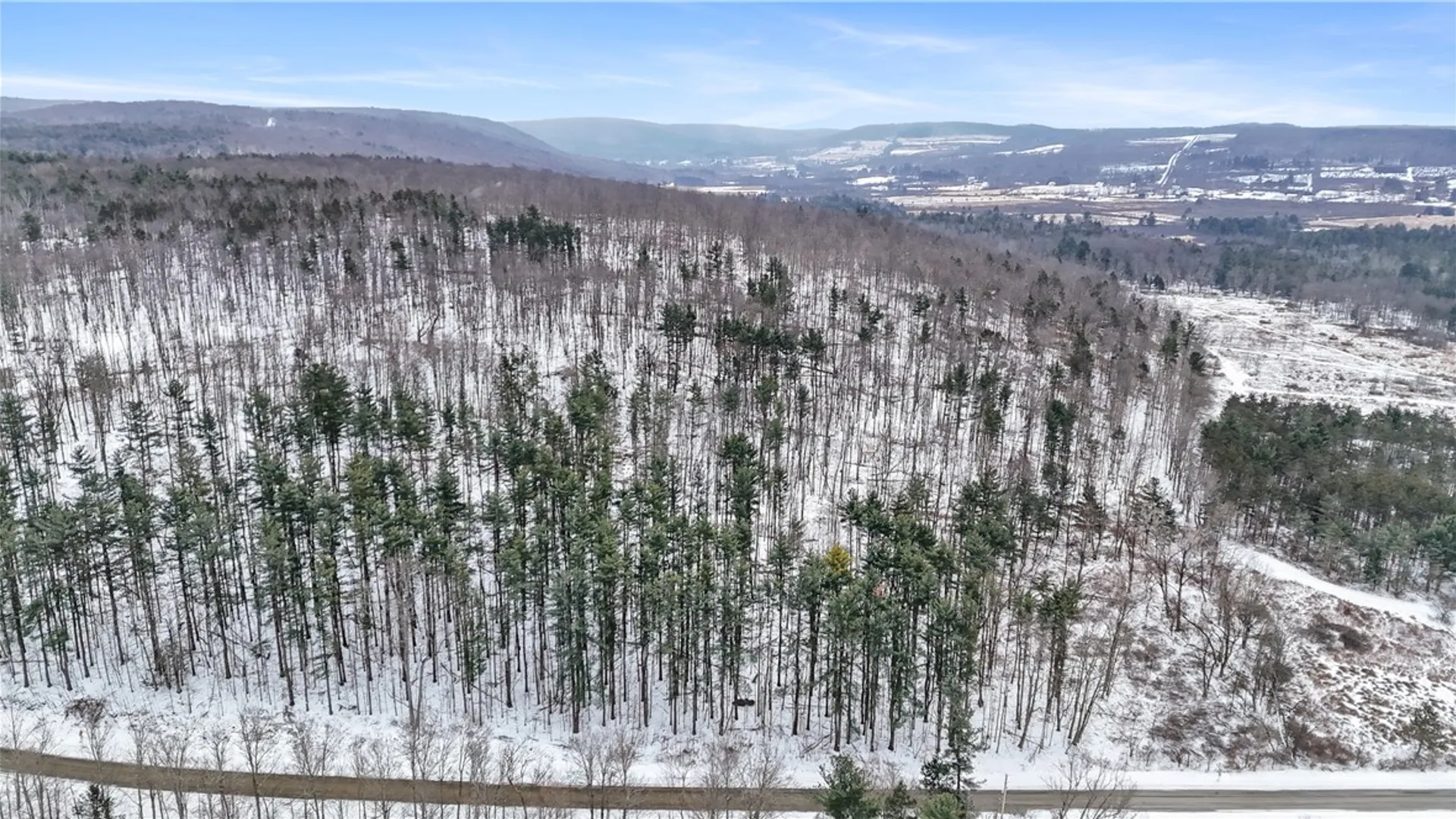 Property at 129 Hornbrook Road, Danby, NY 14850 7