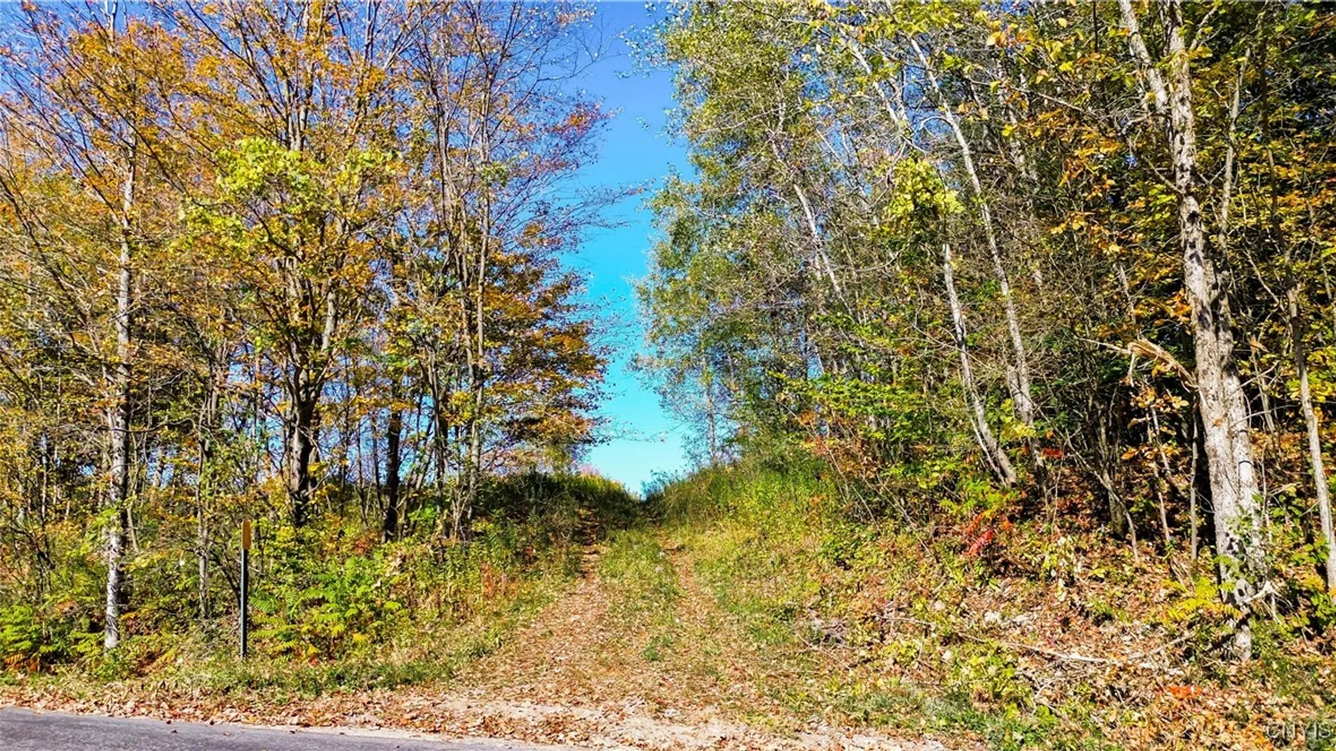 Property at 672 Fishing Rock Road, Newport, NY 13416 3