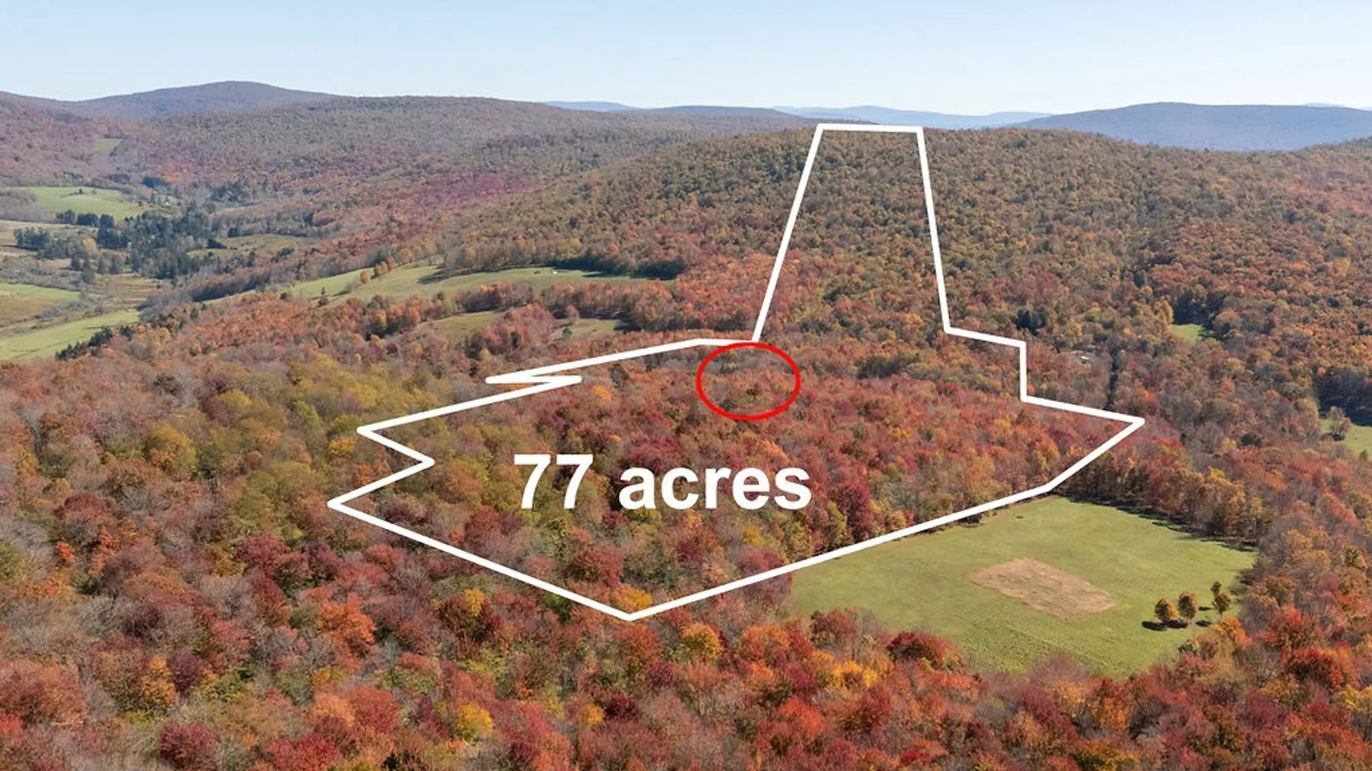 Property at 3199 Coulter Brook Road, Bovina, NY 13740 11