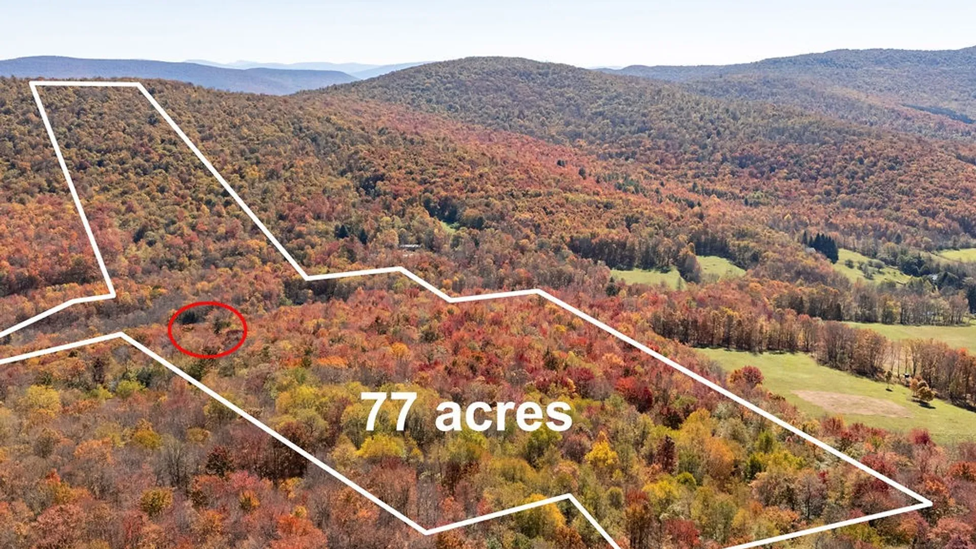 Property at 3199 Coulter Brook Road, Bovina, NY 13740 12