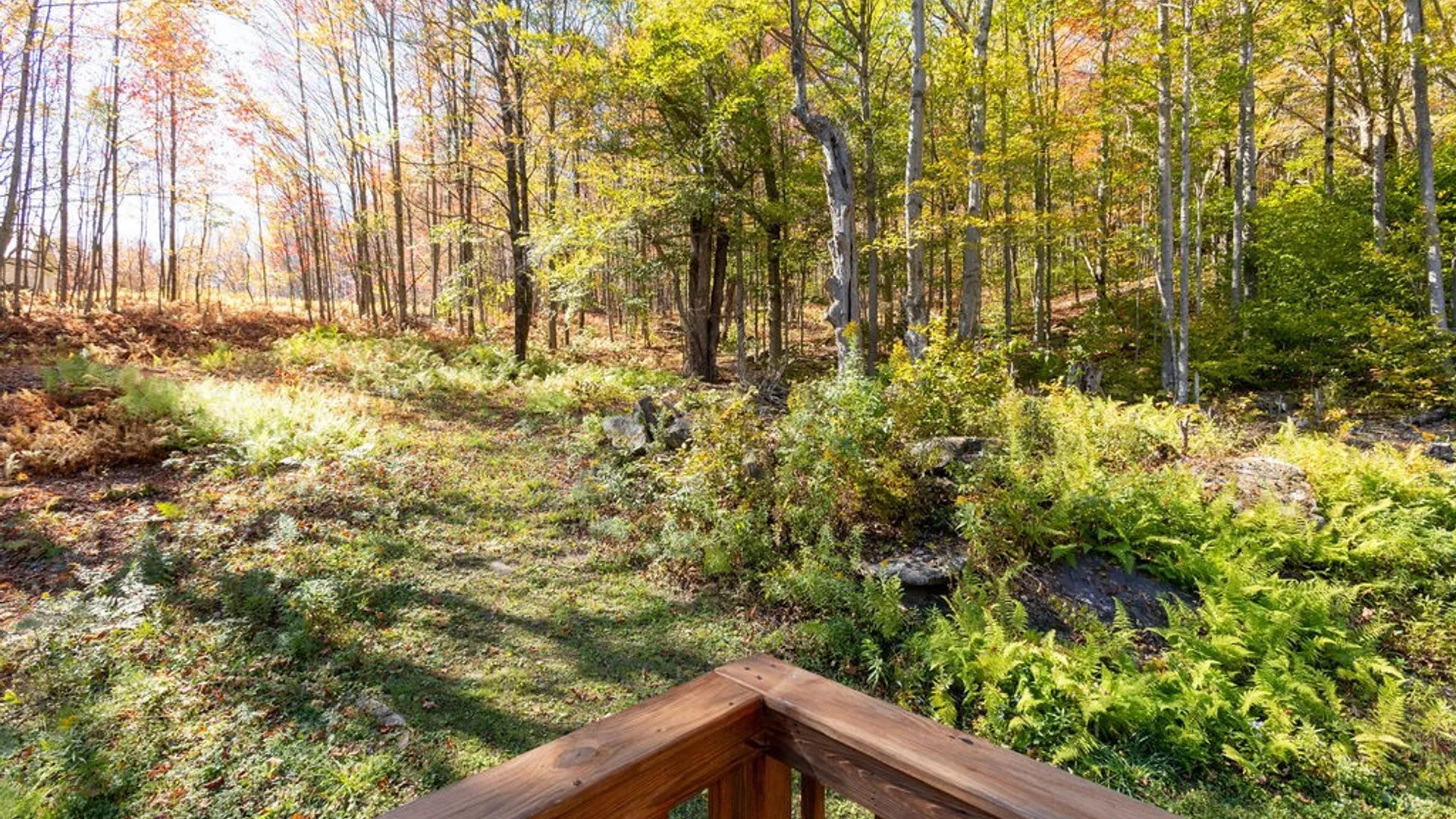 Property at 3199 Coulter Brook Road, Bovina, NY 13740 16