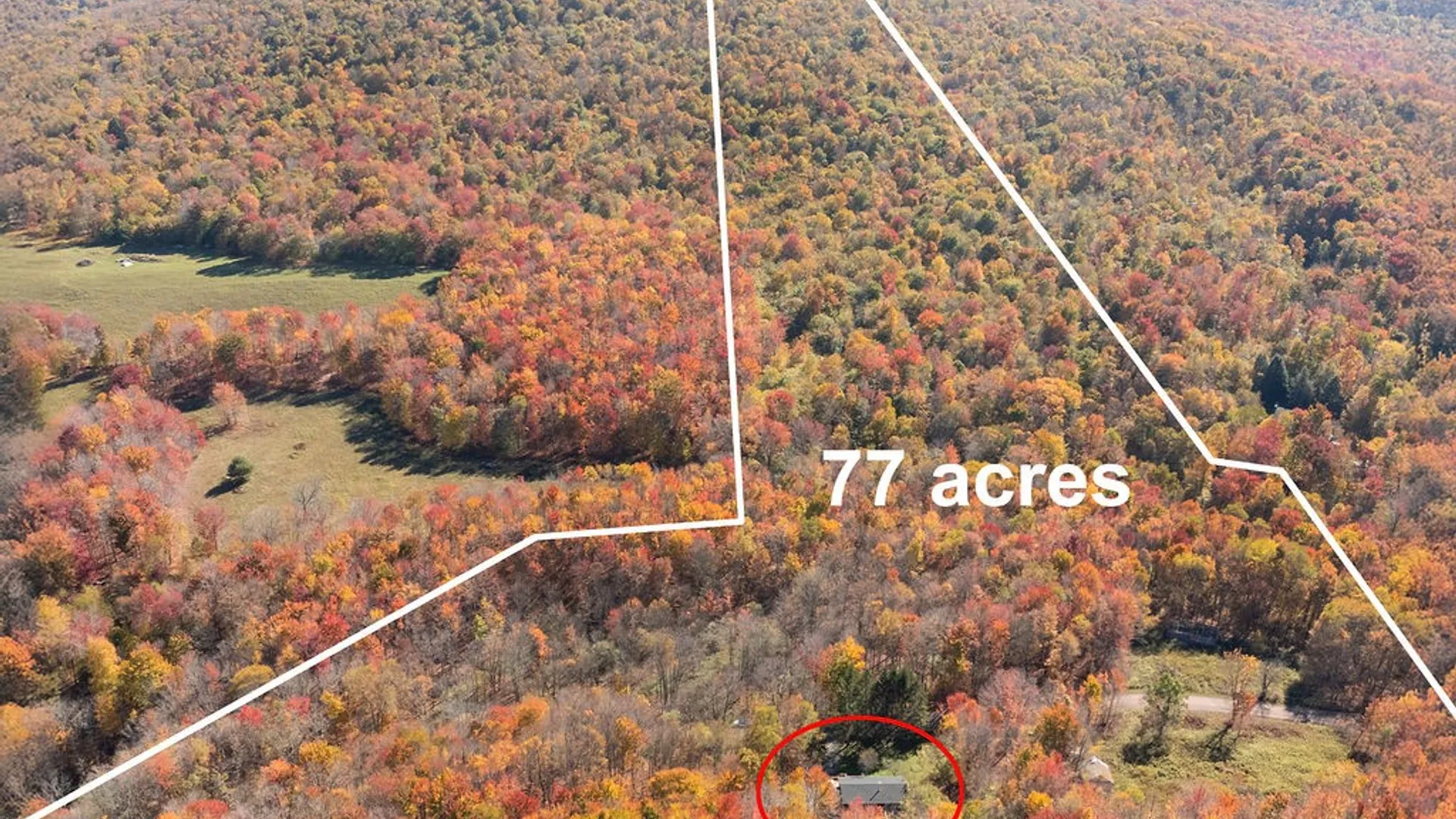 Property at 3199 Coulter Brook Road, Bovina, NY 13740 7