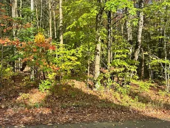 Property at Silverstone Road, Russia, NY 13438