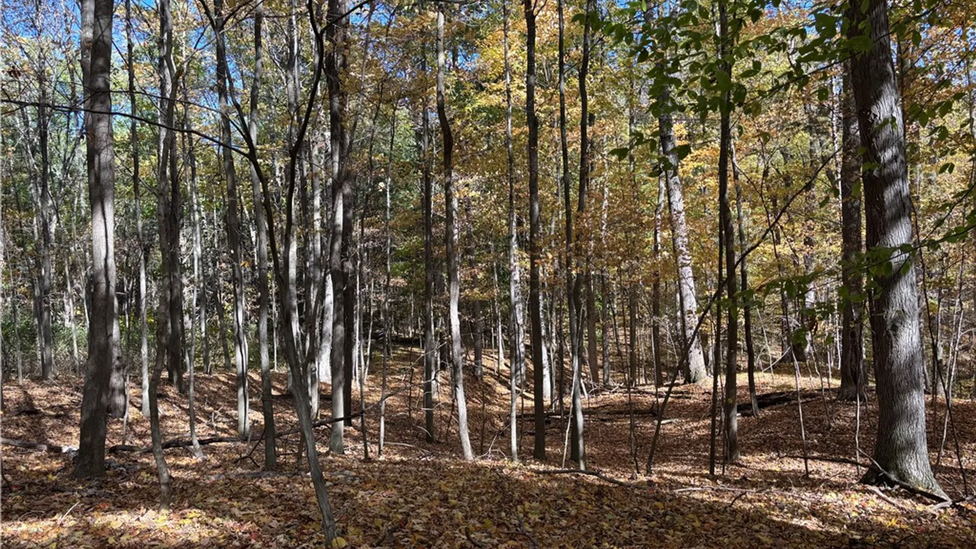 Property at 2507 Shanty Plains Road, Jerusalem, NY 14527 19