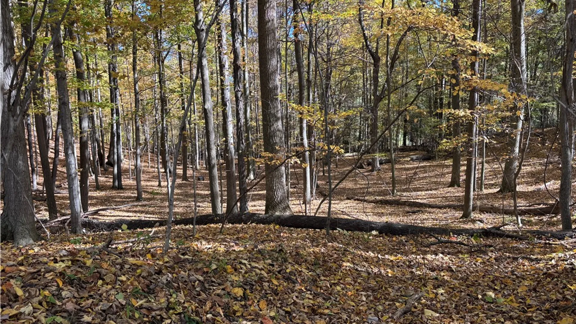 Property at 2507 Shanty Plains Road, Jerusalem, NY 14527 20