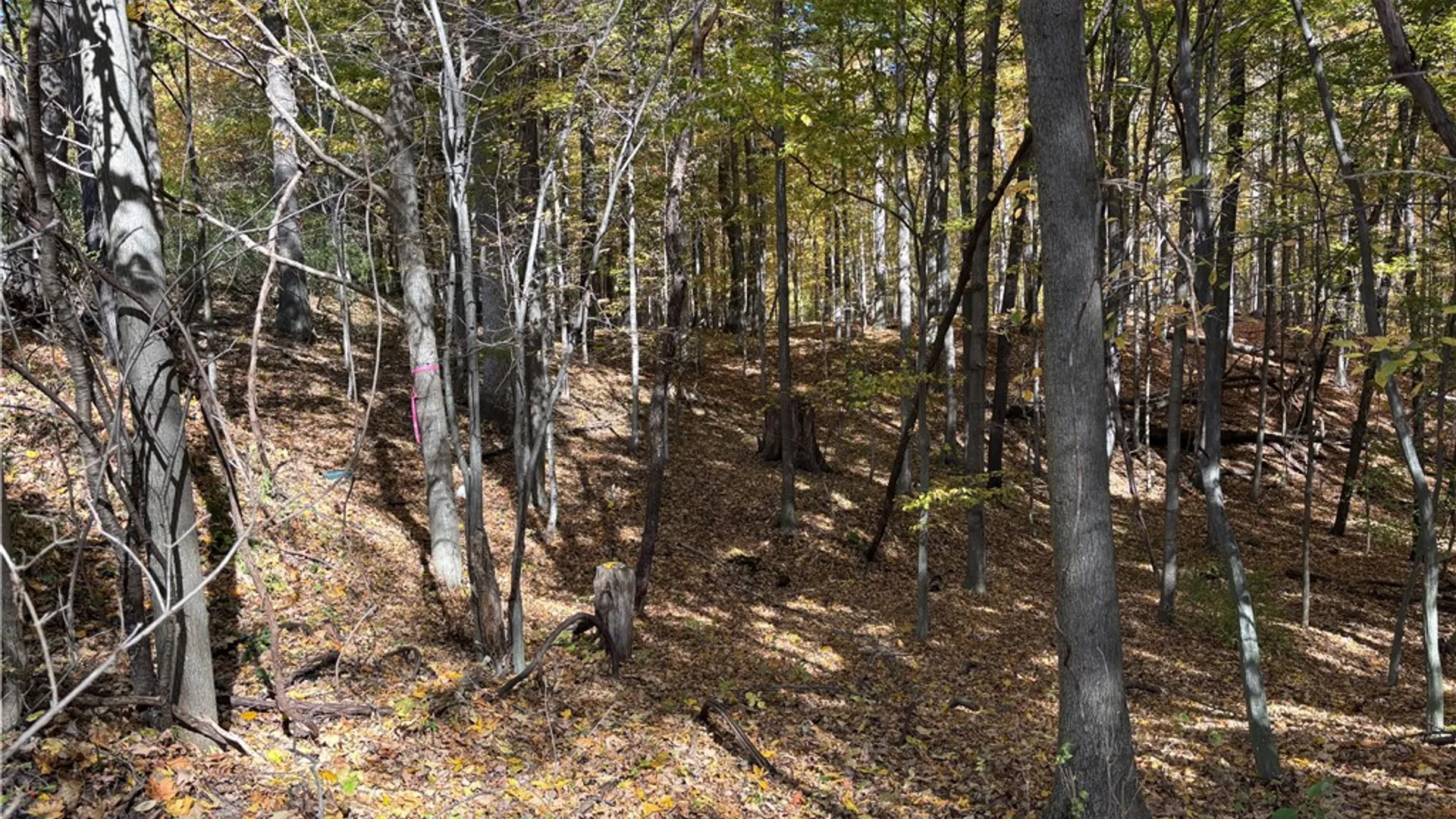 Property at 2507 Shanty Plains Road, Jerusalem, NY 14527 22