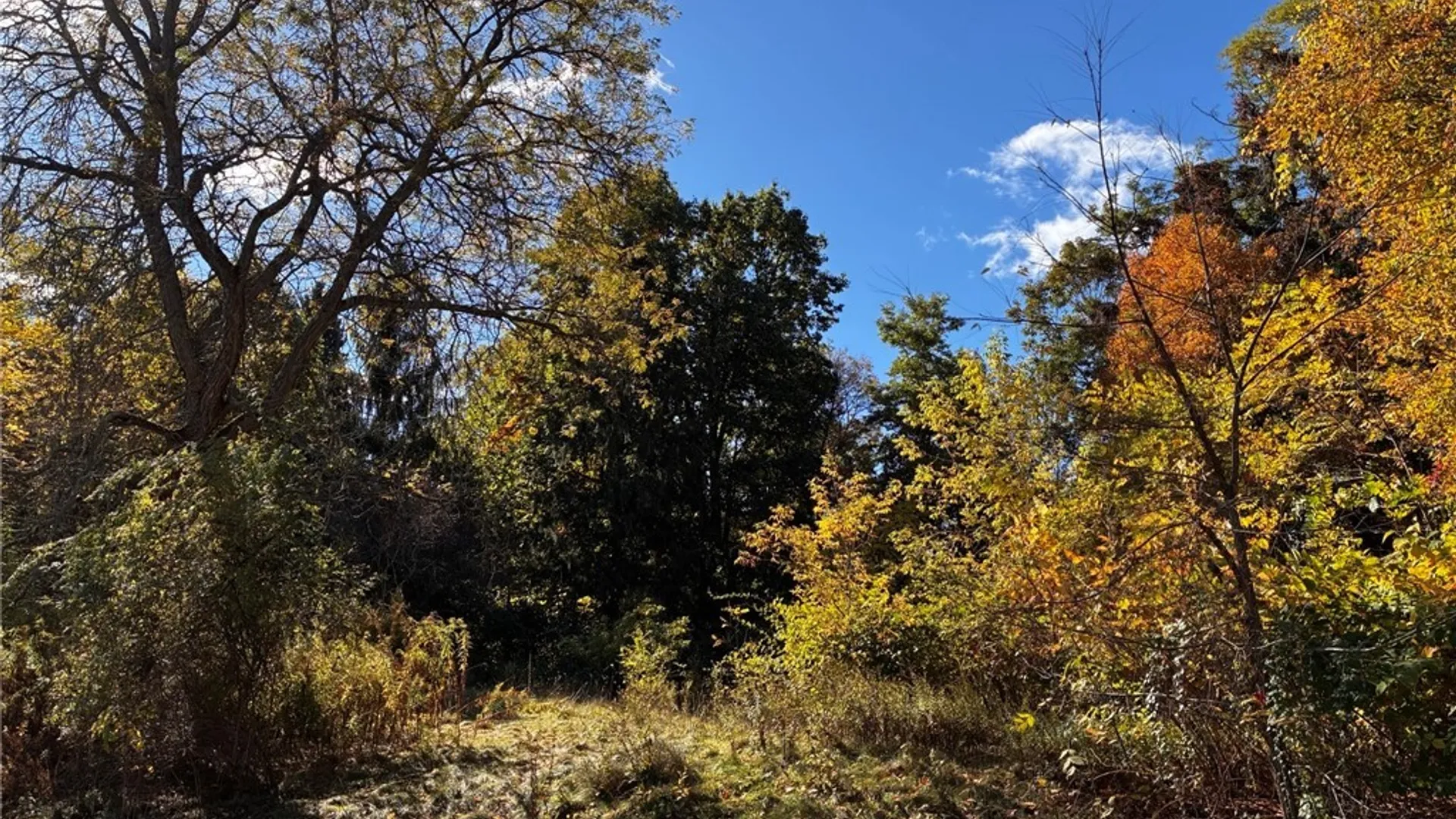 Property at 2295 Gowanda Zoar Road, Collins, NY 14070 2