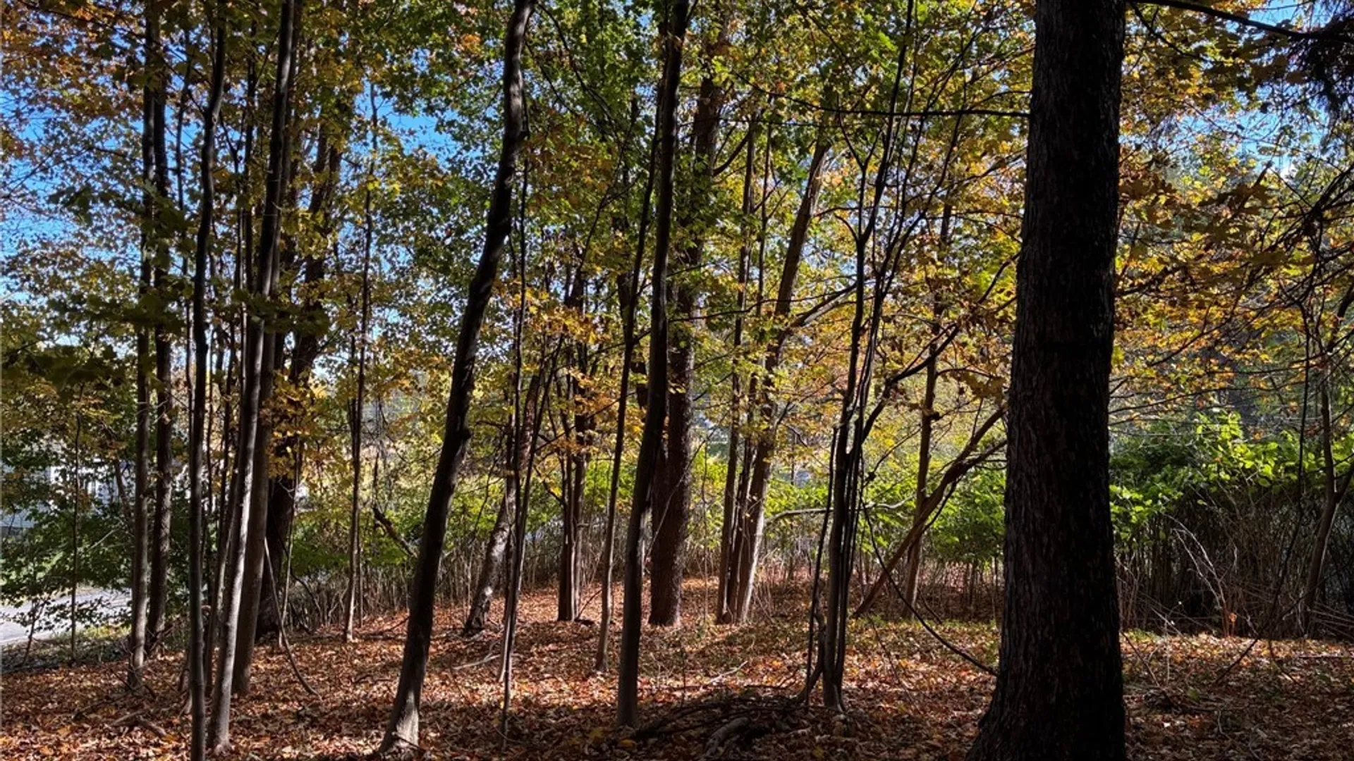 Property at 2295 Gowanda Zoar Road, Collins, NY 14070 5