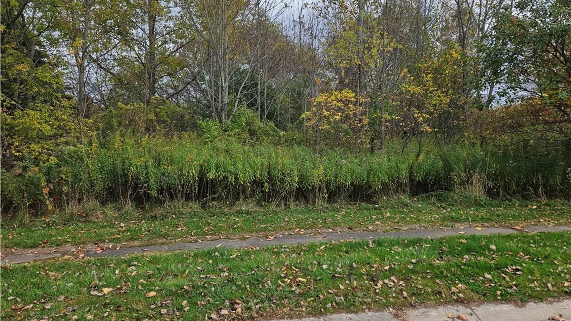 Property at Salmon Meadow Lane, Richland, NY 13142 2
