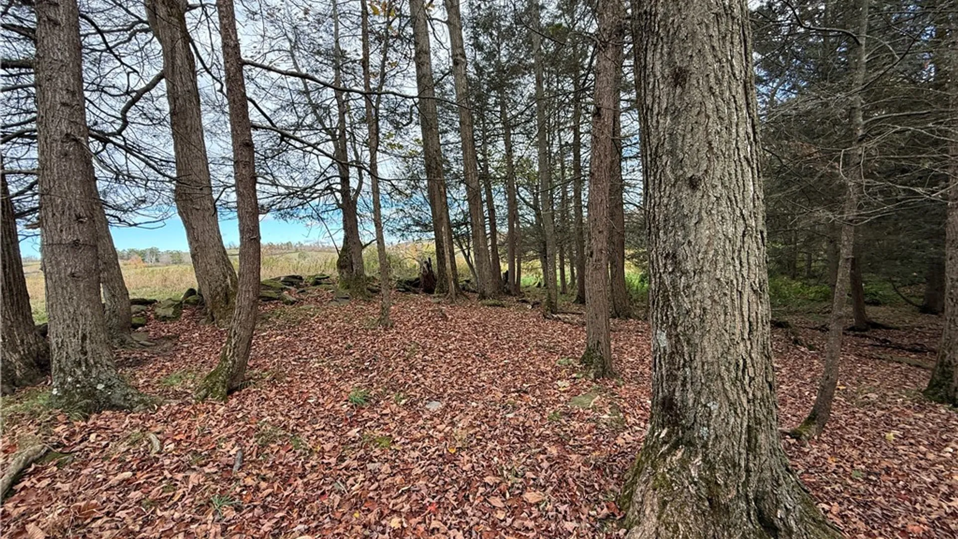 Property at 891 Dutch Hill Road, Southport, NY 14871 42