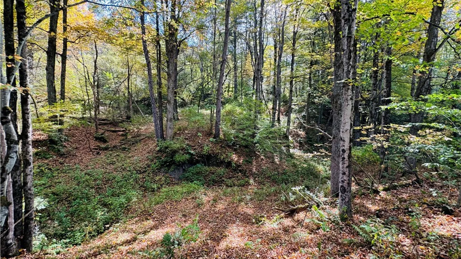 Property at 5537 County Road 16, Angelica, NY 14709 4