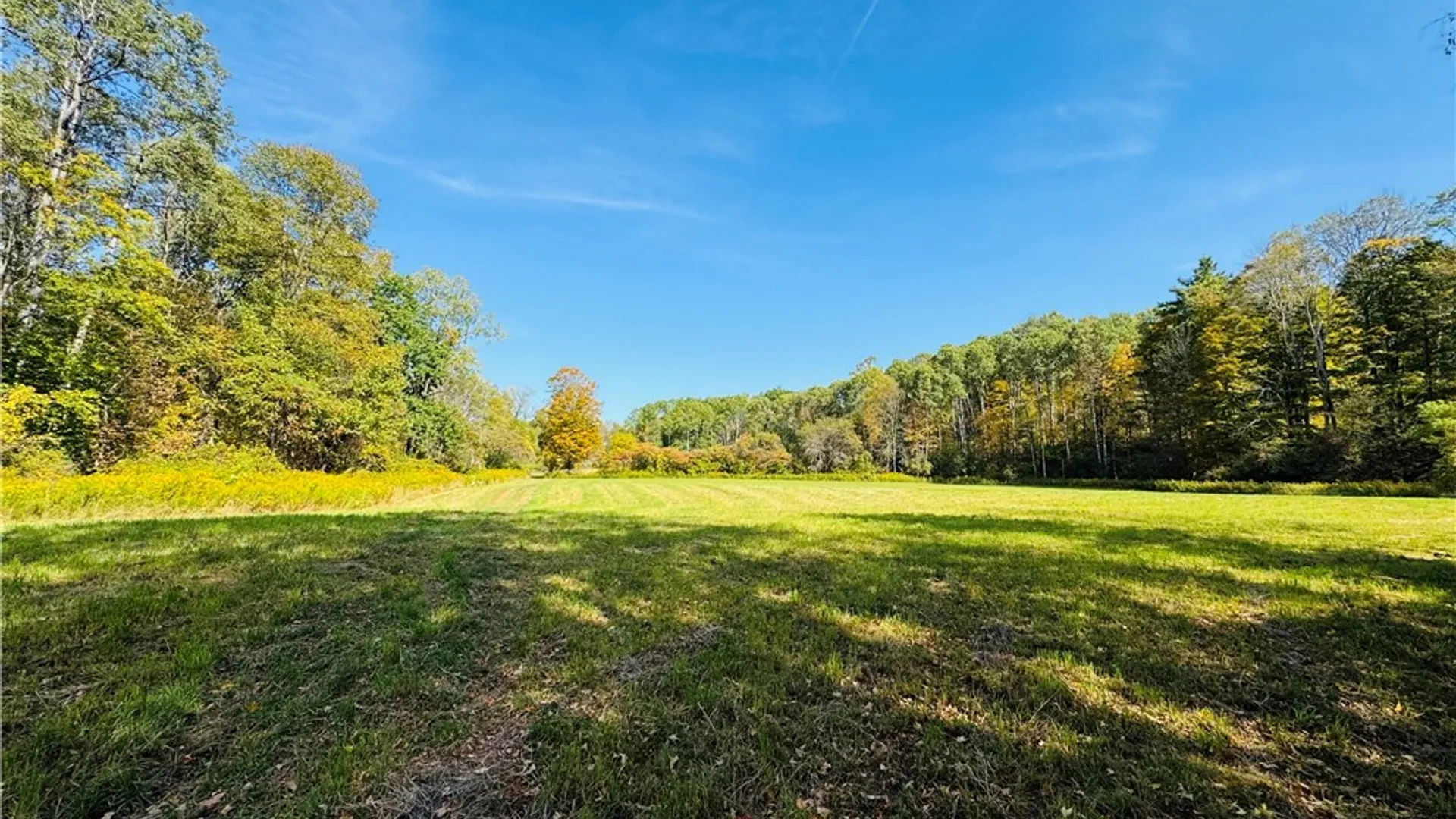 Property at 5537 County Road 16, Angelica, NY 14709 5