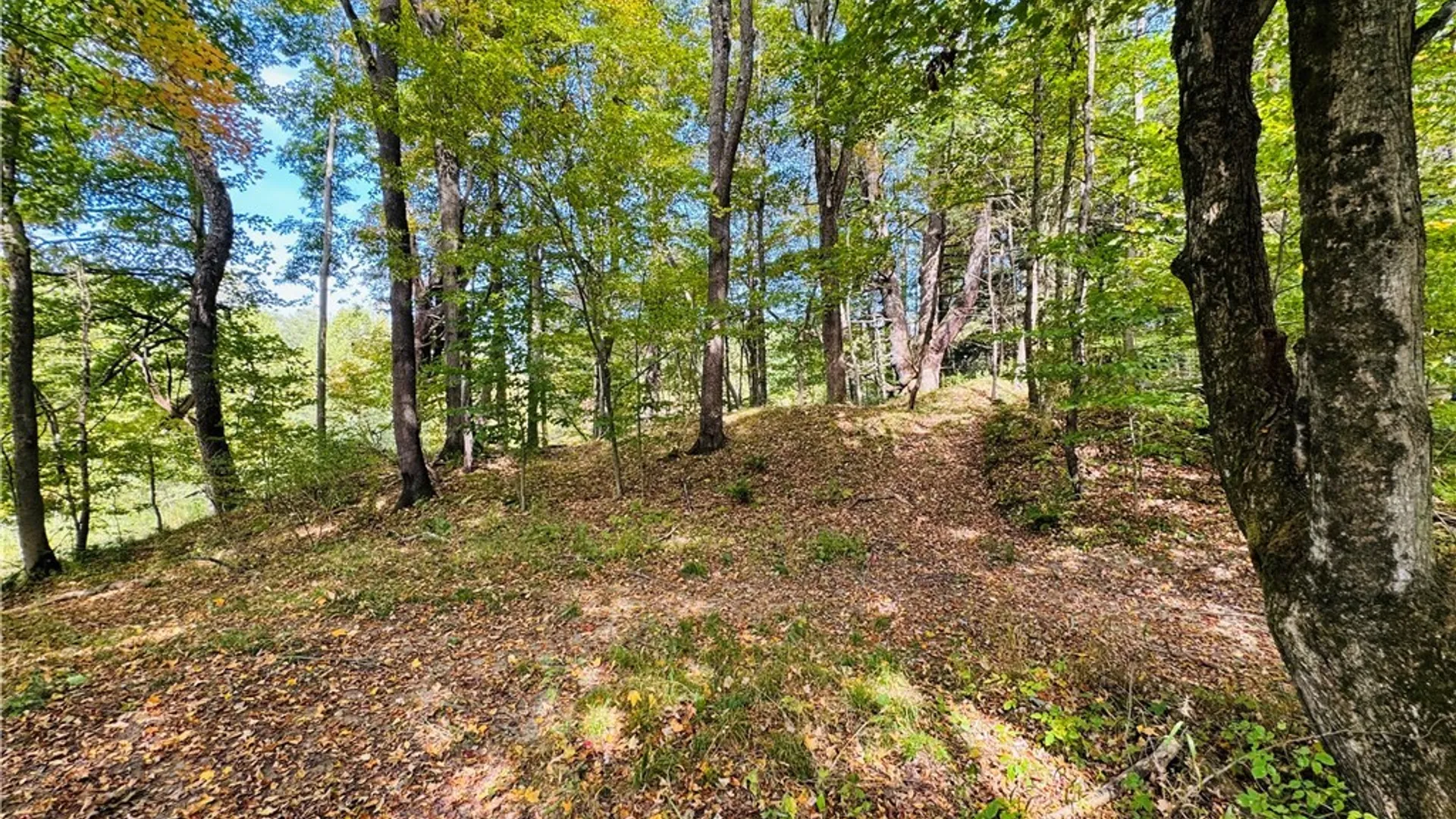 Property at 5537 County Road 16, Angelica, NY 14709 6