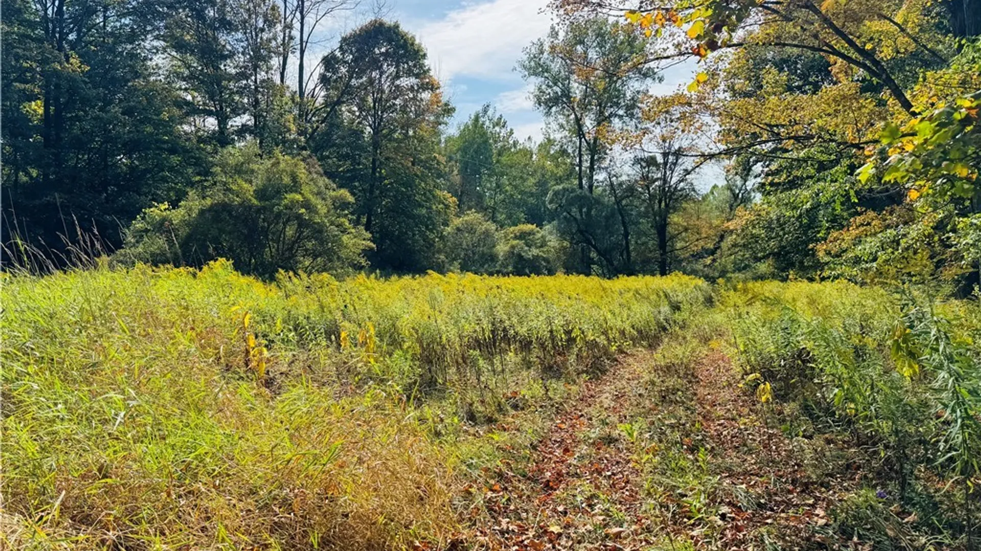 Property at 5537 County Road 16, Angelica, NY 14709 7