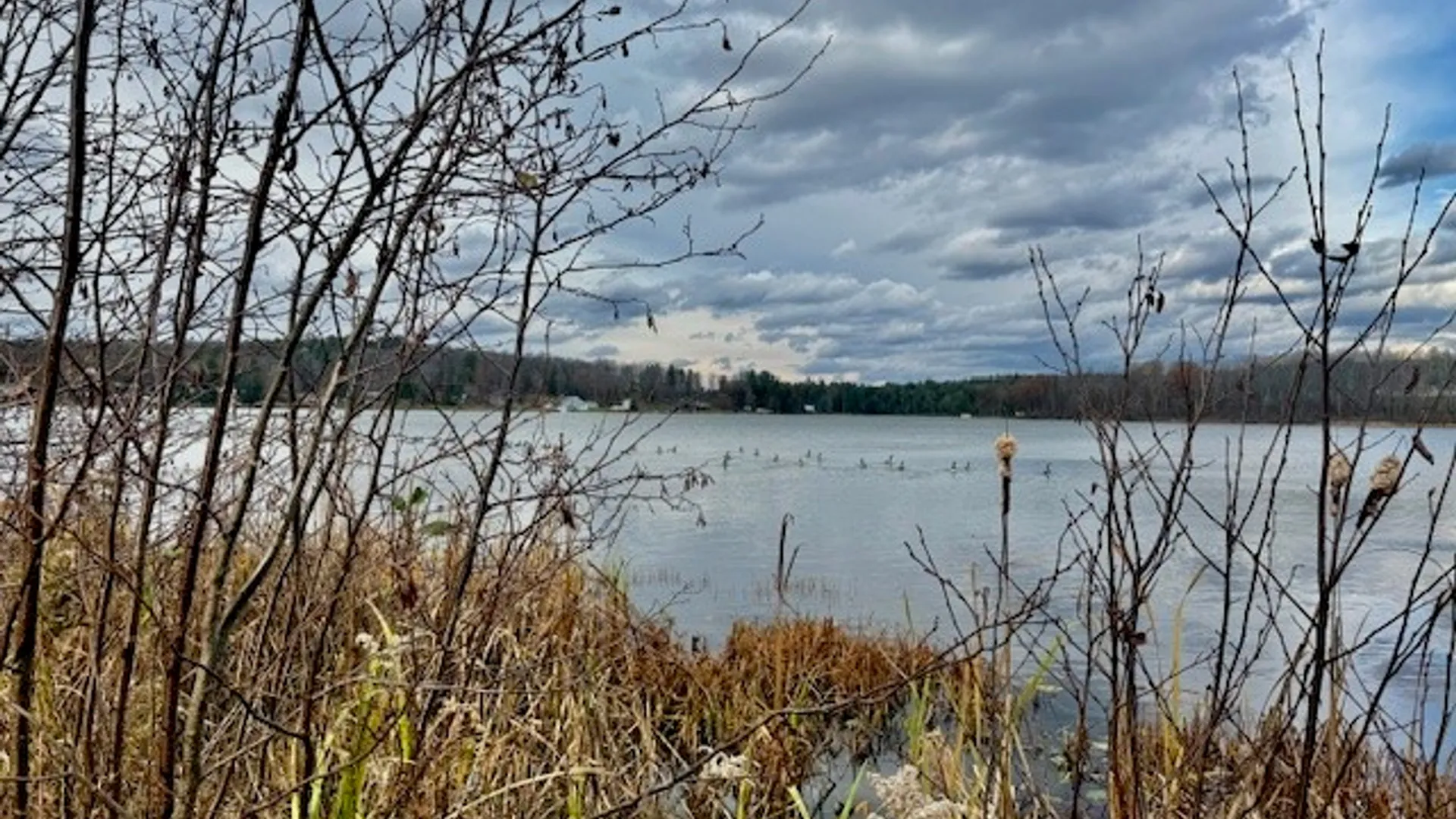 Property at Pond Road, Guilford, NY 13780 3