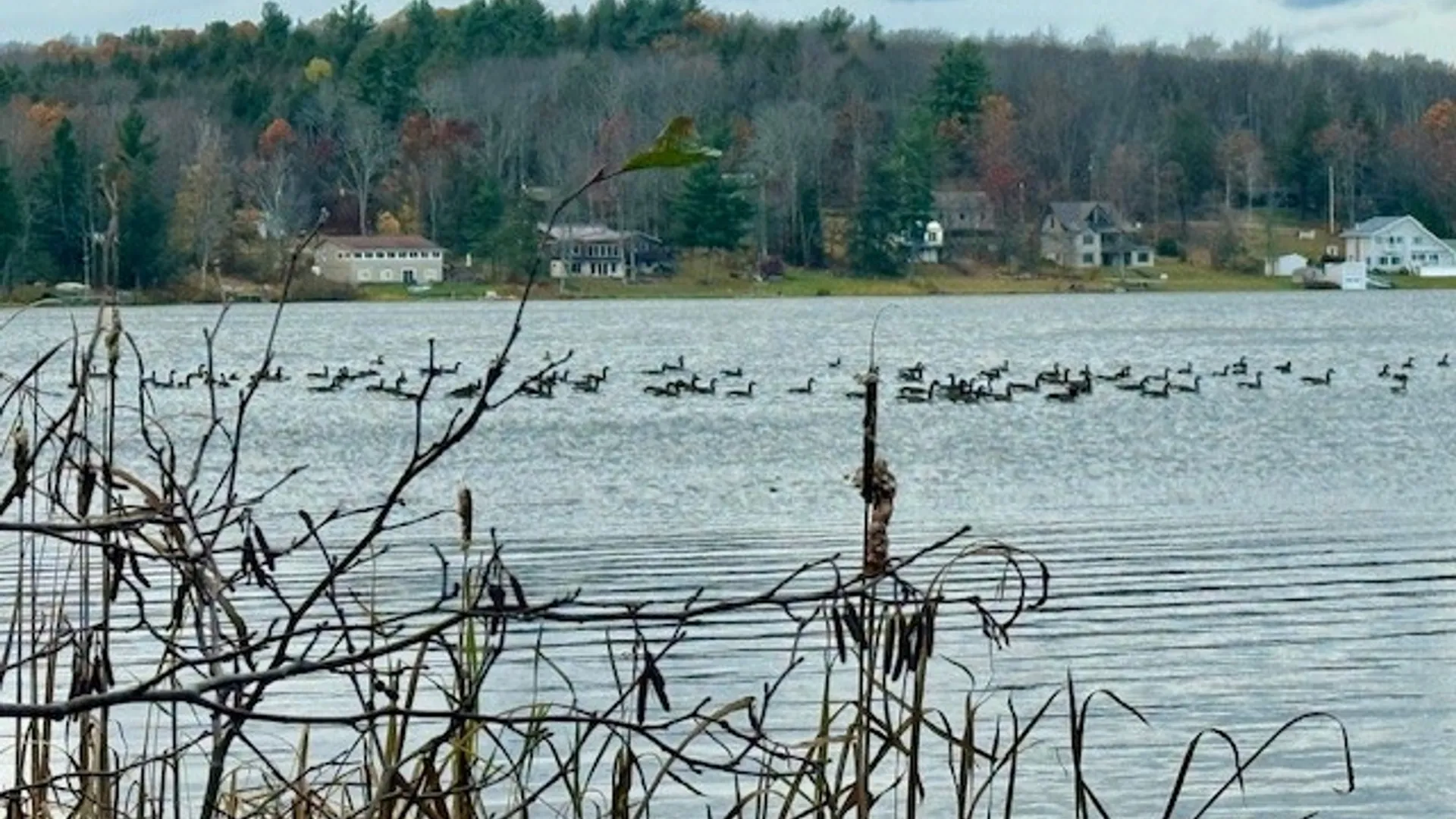 Property at Pond Road, Guilford, NY 13780 4