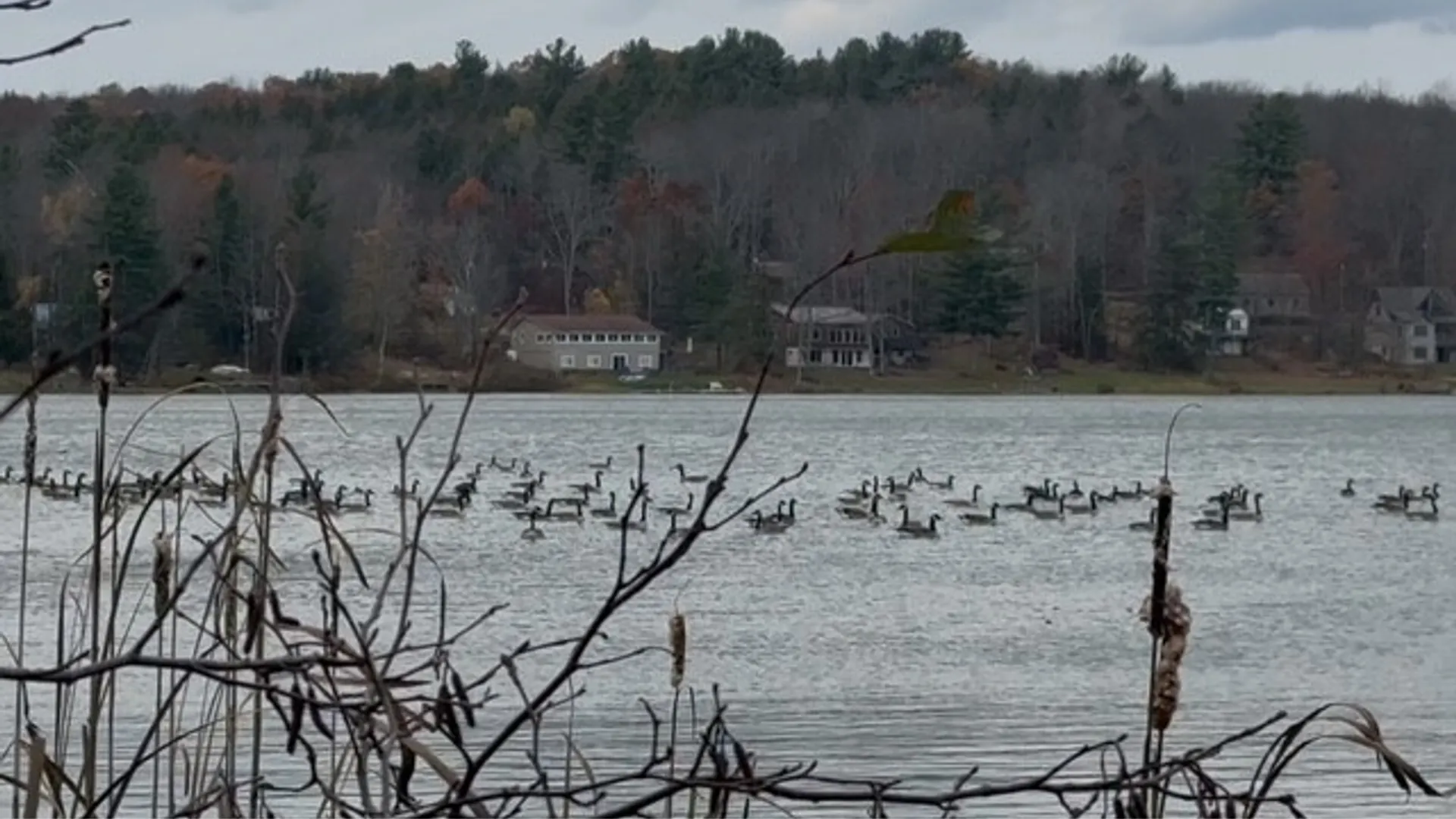 Property at Pond Road, Guilford, NY 13780 5