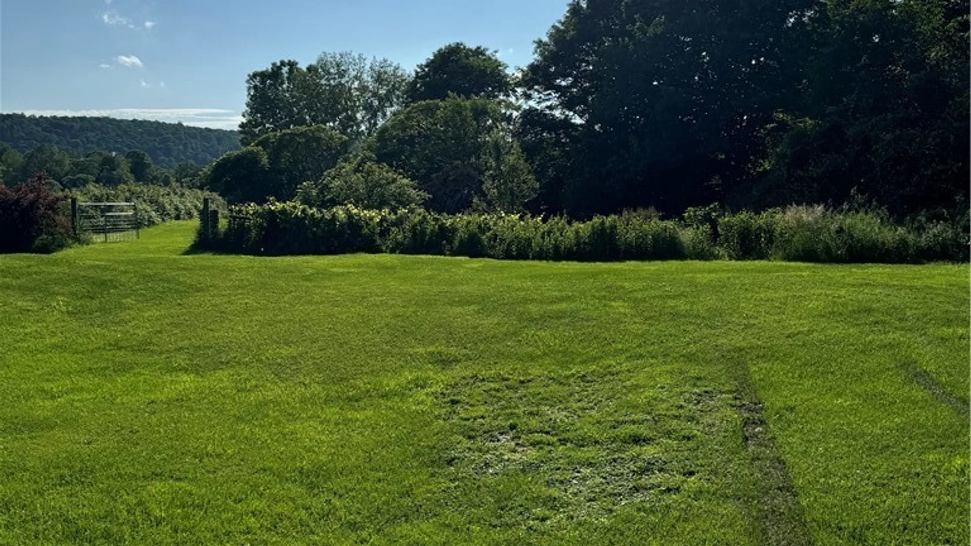 Property at 2007 Sand Hill Road, Sempronius, NY 13118 22