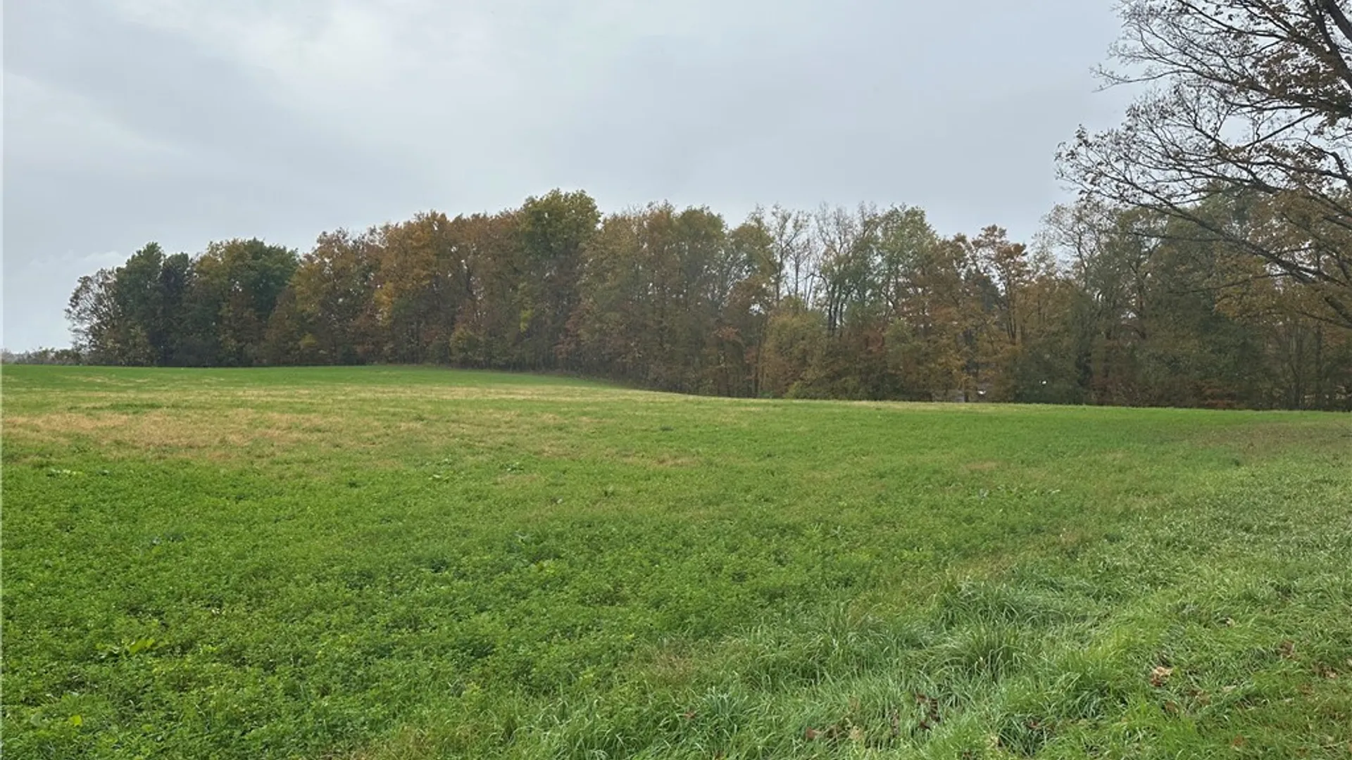 Property at Stokes Lee Center Road, Lee, NY 13440 4