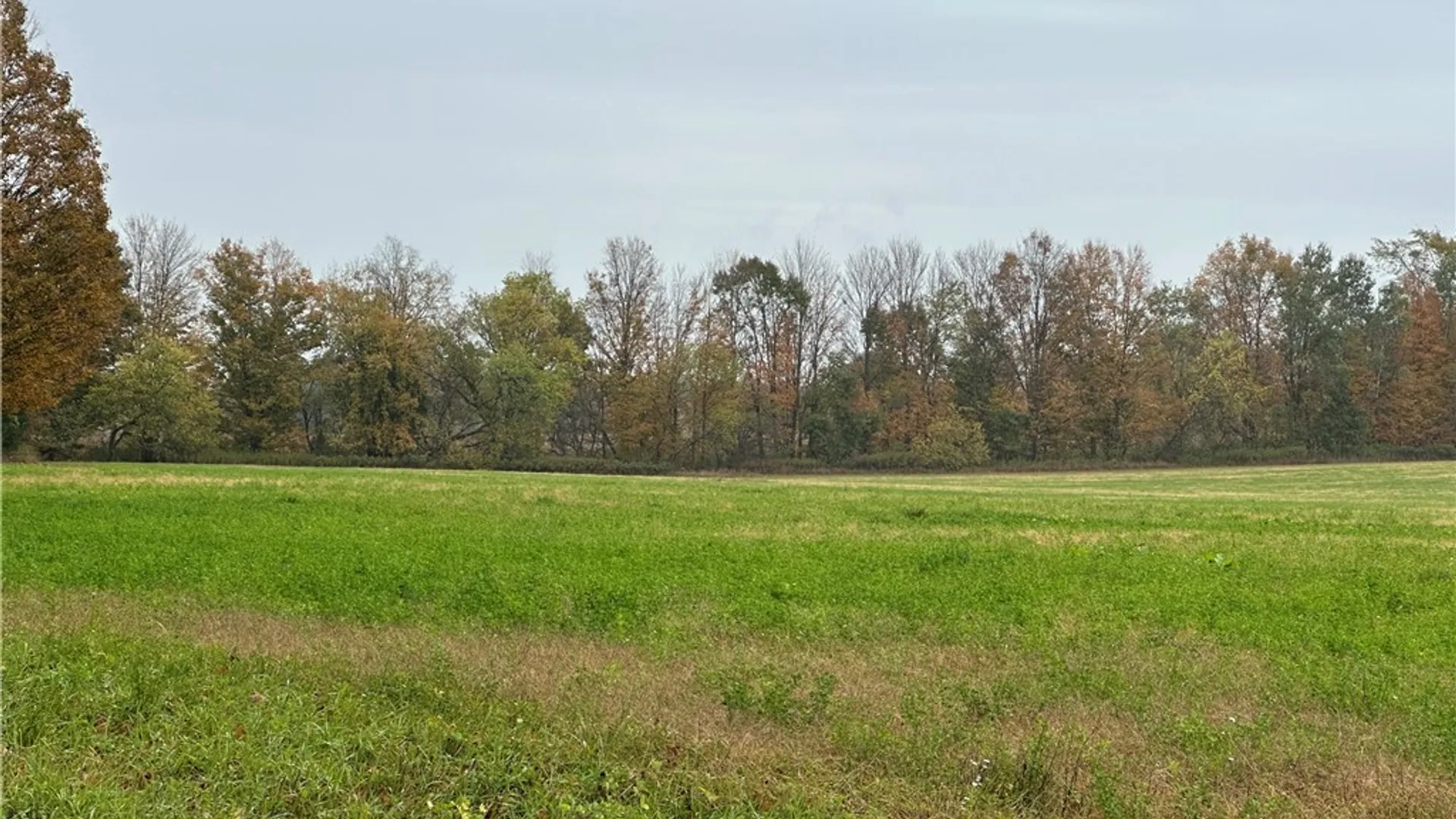 Property at Stokes Lee Center Road, Lee, NY 13440 5