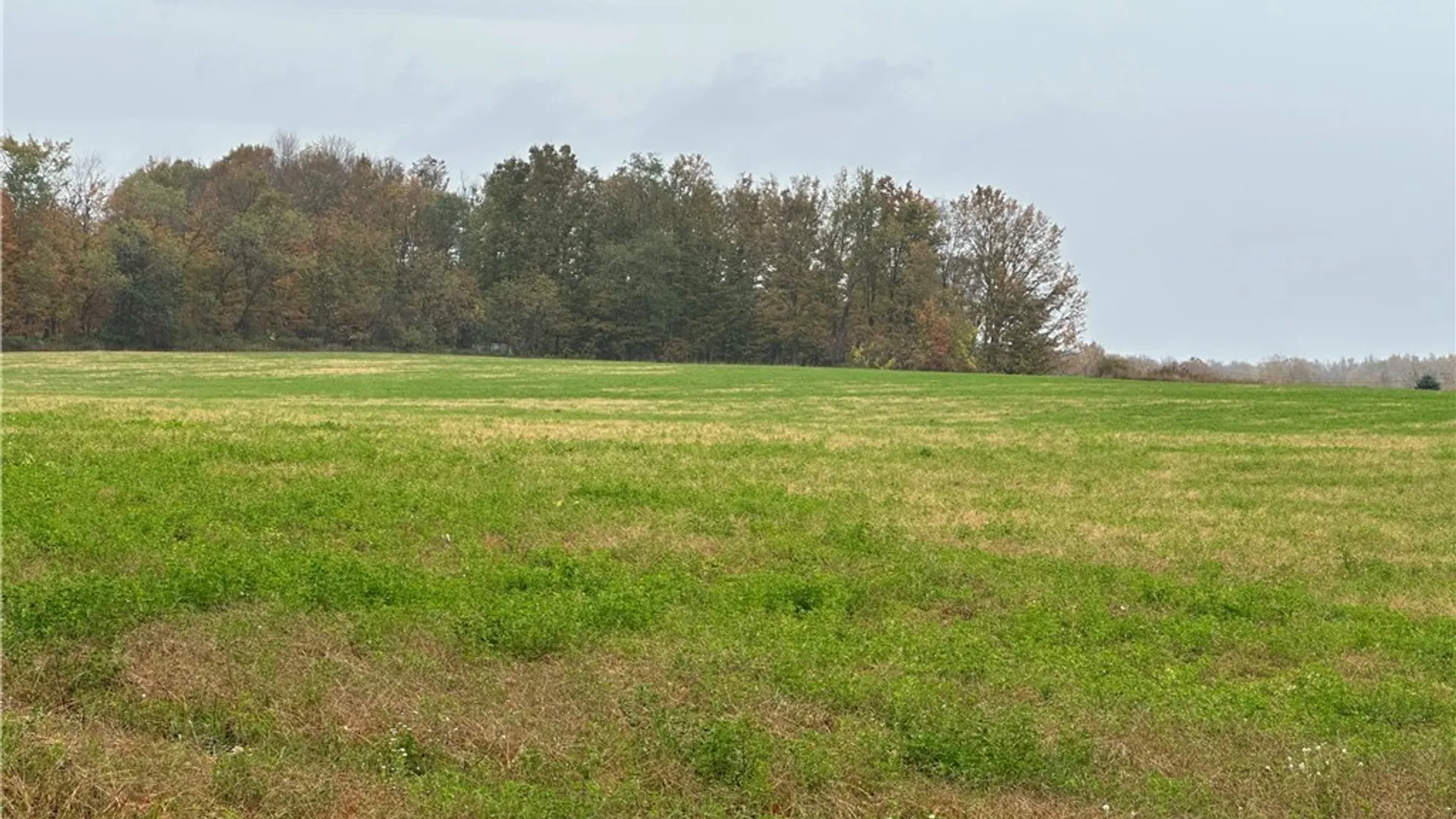 Property at Stokes Lee Center Road, Lee, NY 13440 9