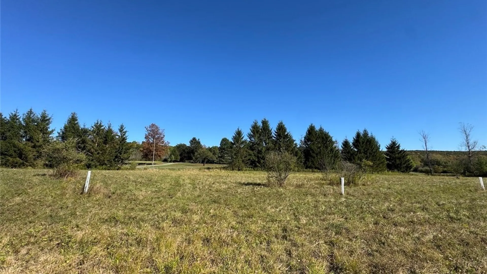 Property at County Road 96, Wayne, NY 14840 3