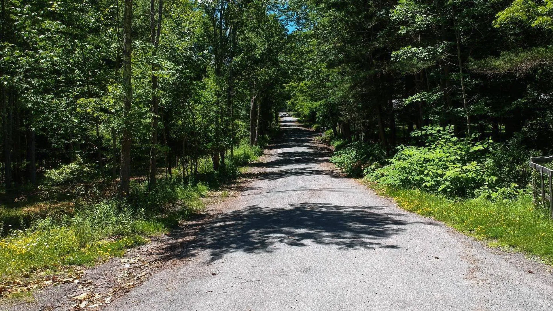 Property at 98 Norwegian, Lexington, NY 12468 10
