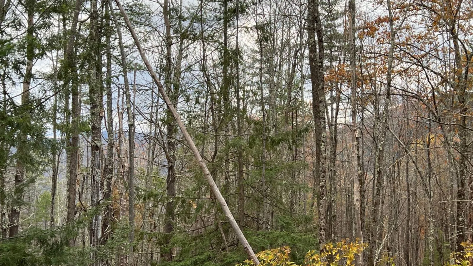 Property at 98 Norwegian, Lexington, NY 12468 12