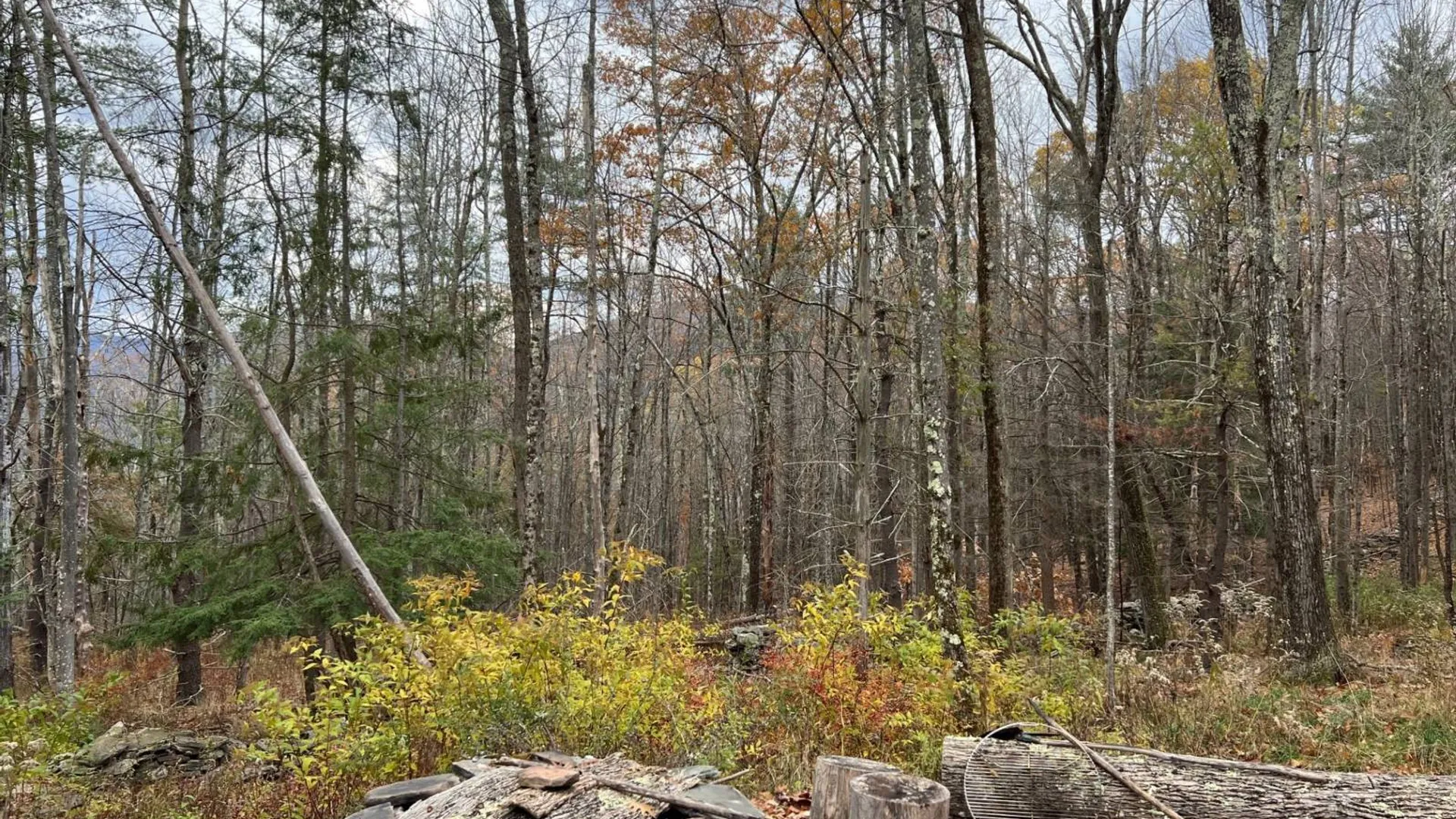 Property at 98 Norwegian, Lexington, NY 12468 13