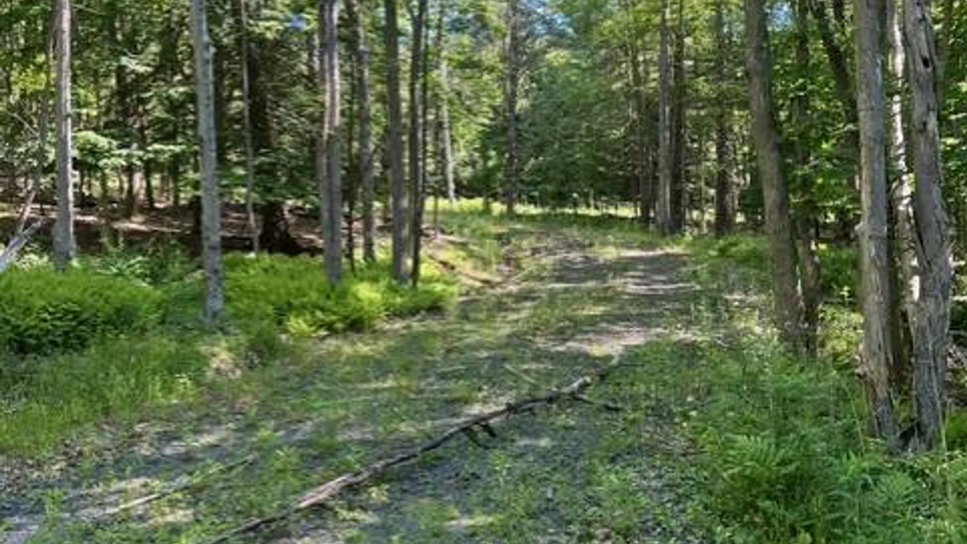 Property at 98 Norwegian, Lexington, NY 12468 4