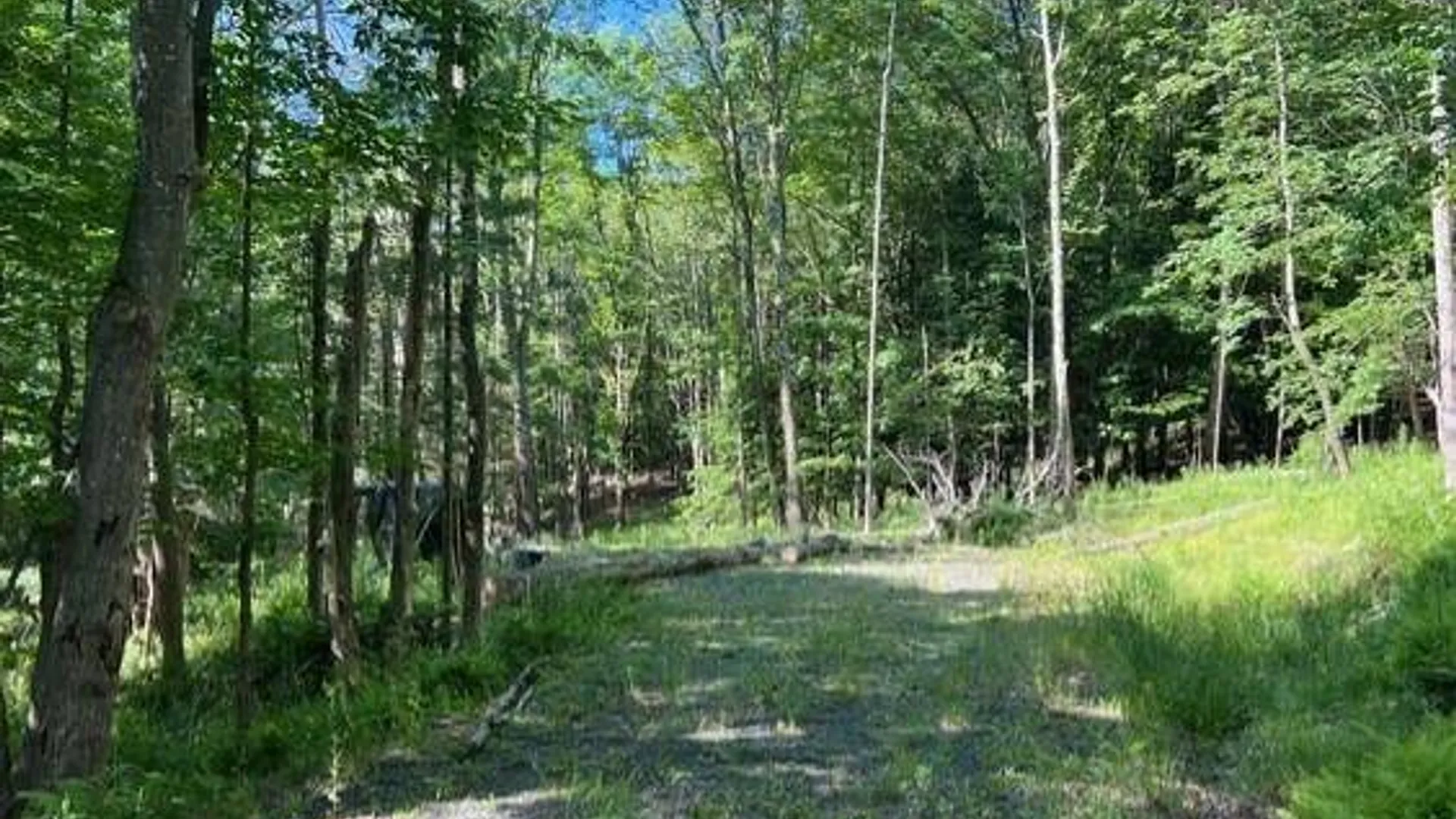 Property at 98 Norwegian, Lexington, NY 12468 5