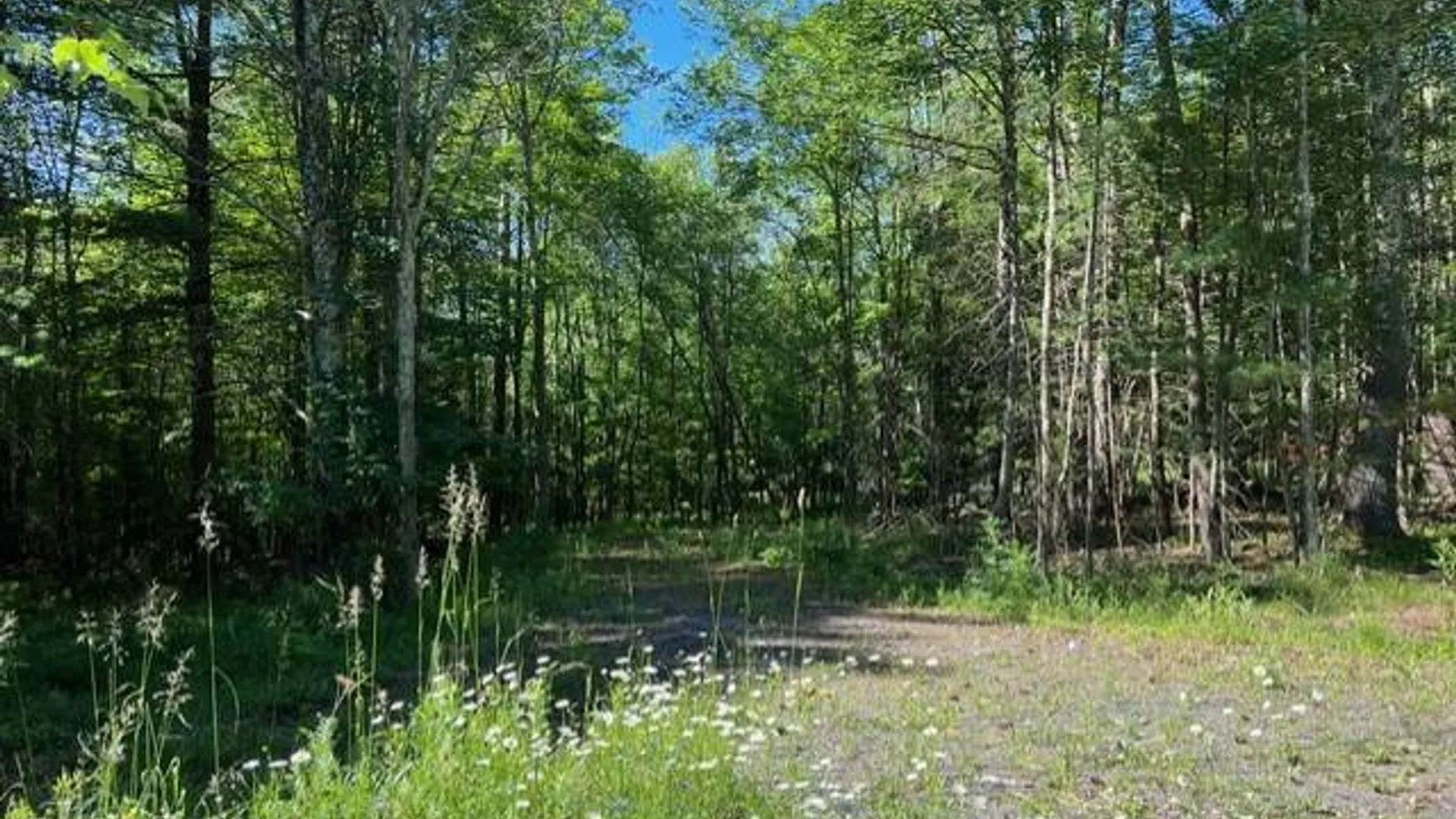 Property at 98 Norwegian, Lexington, NY 12468 6
