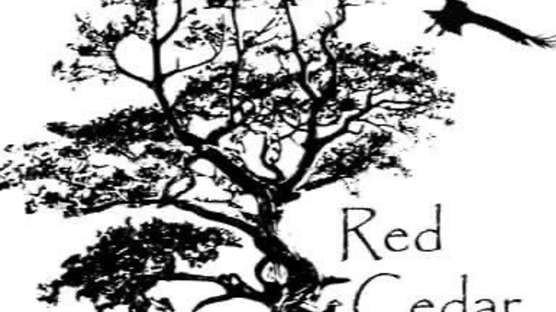 Property at 5 Red Cedar Falls Lane, Starkey, NY 14837 13