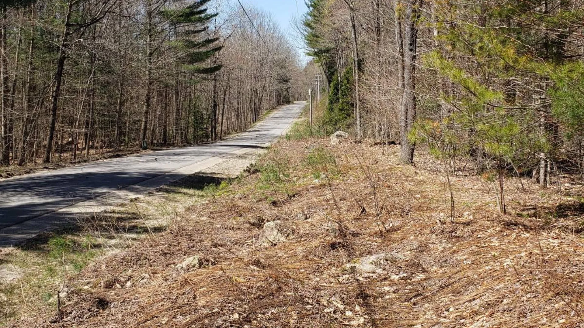 Property at 311 Stewart Landing Rd, Stratford, NY 13470 2
