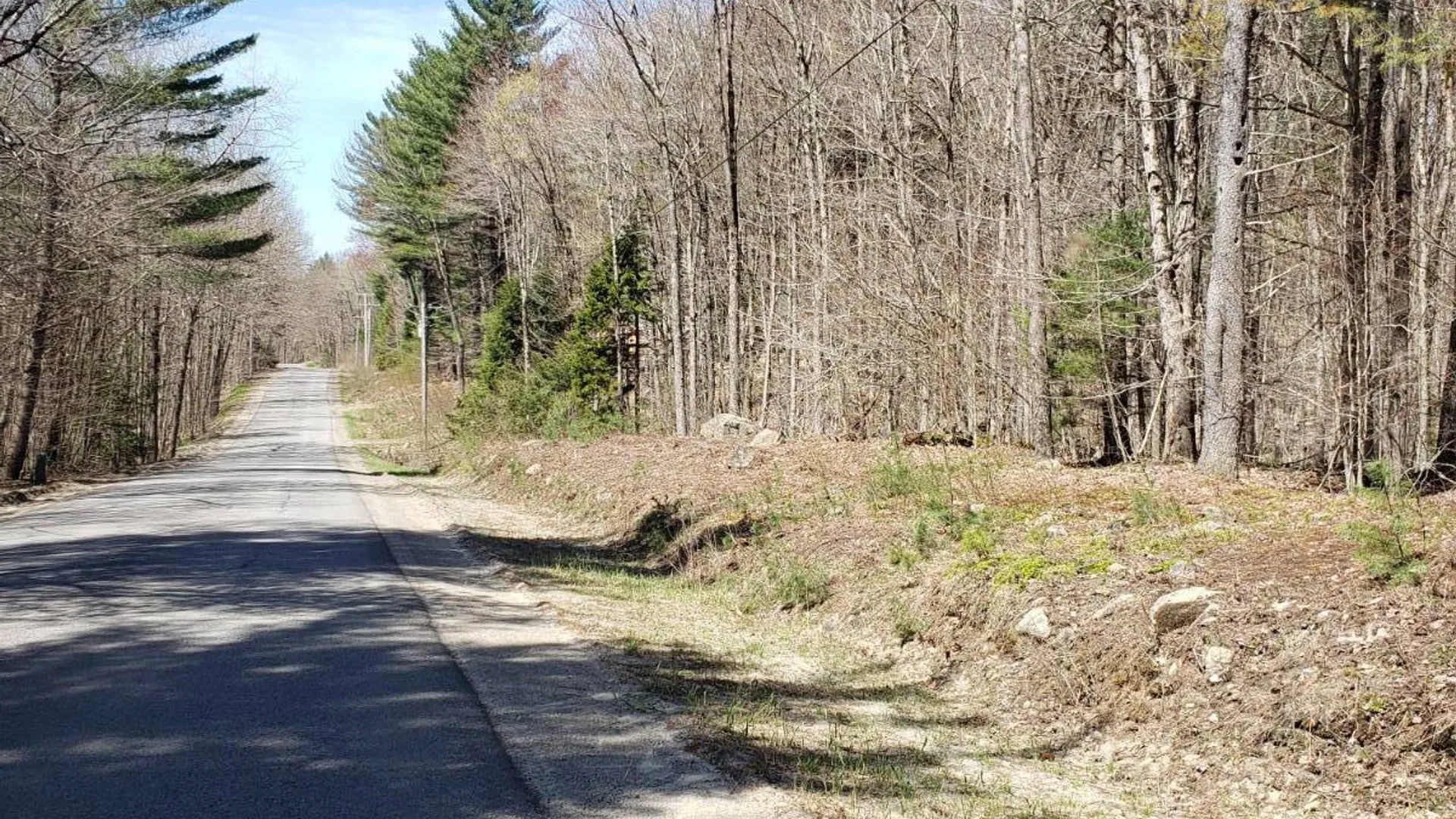 Property at 311 Stewart Landing Rd, Stratford, NY 13470 4