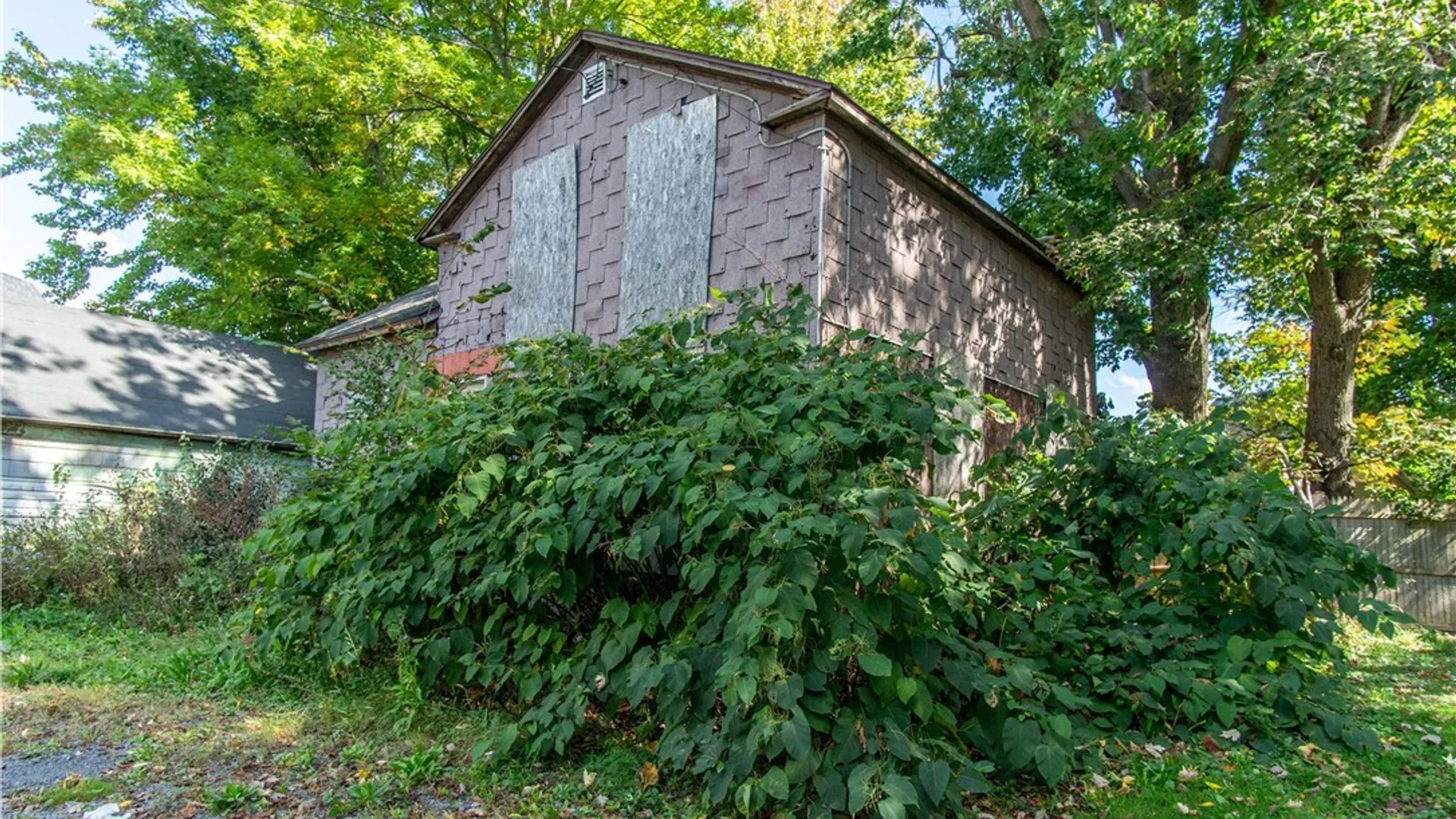 Property at 317 Clay Street, Watertown City, NY 13601 3